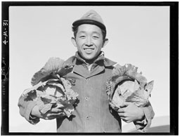 This image of Richard Kobayashi is among the pictures taken by famed photographer Ansel Adams of Japanese-Americans at Manzanar internment camp in California in the 1940s. An exhibit called "Ansel Adams: A Portrait of Manzanar" is on display at the Jefferson Museum of Art & History through Aug. 18. Ansel Adams