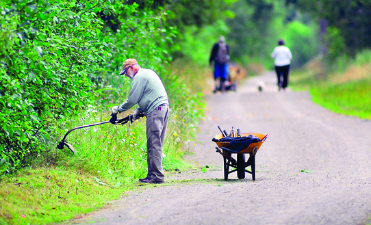 Volunteer trail maintainer Ron Bauman of Port Angeles trims vegetation along his adopted portion of the Olympic Discovery Trail south of 18th Street on Monday. Keith Thorpe/Peninsula Daily News