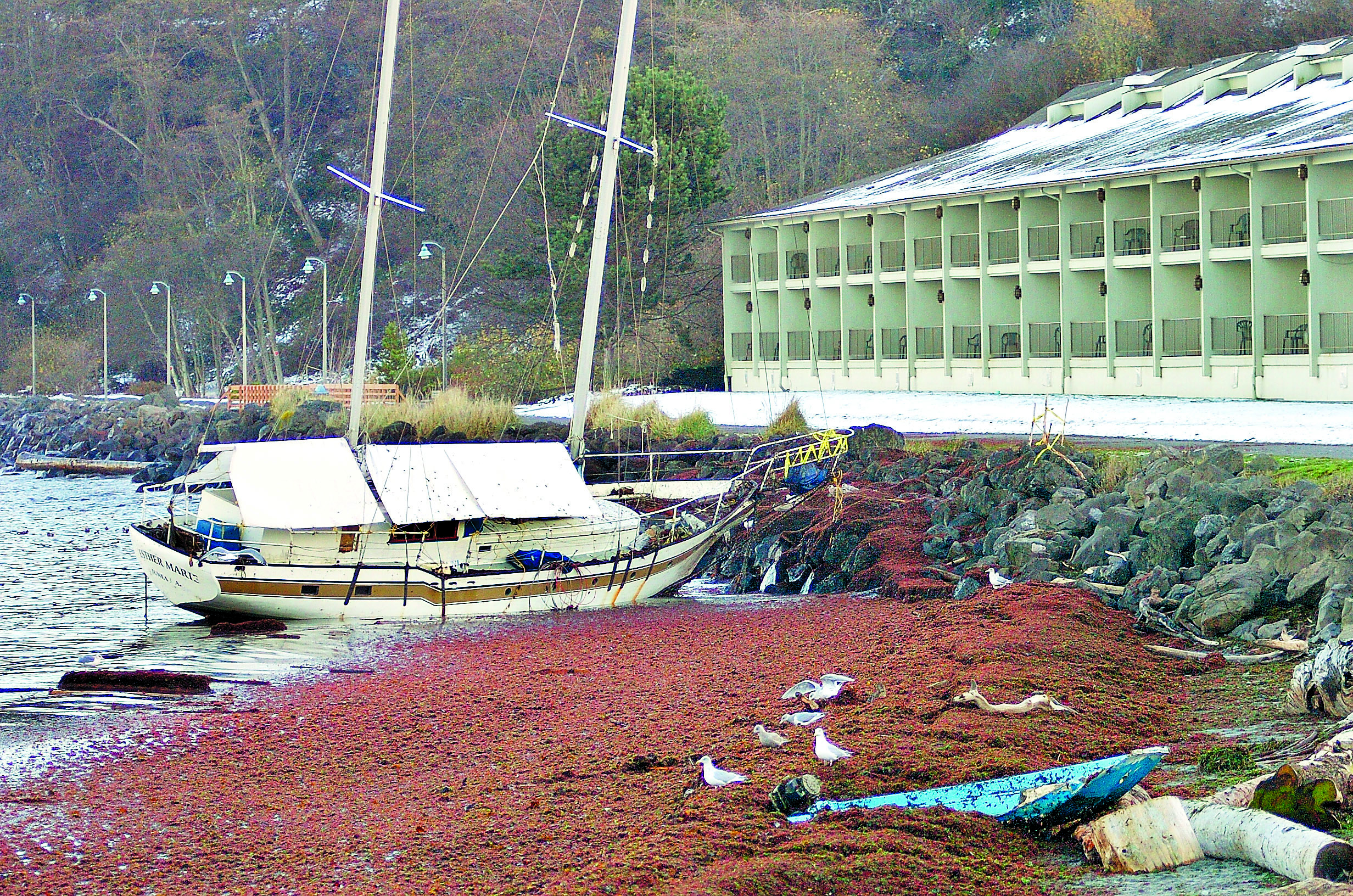 The Esther Marie is shown where she washed aground in 2008 in front of the Red Lion Hotel on Port Angeles Harbor. The boat was cut up and disposed of last month.  -- Peninsula Daily News photo