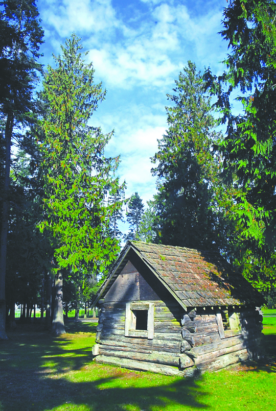 A rustic cabin sits surrounded by trees in Lincoln Park in Port Angeles on Tuesday. Many of those trees could eventually be removed under a plan to accommodate aircraft landings at nearby William R. Fairchild International Airport. Keith Thorpe/Peninsula Daily News