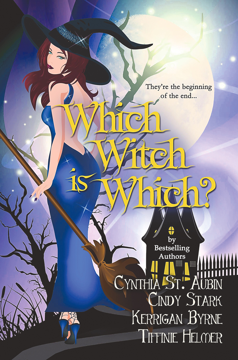 Which Witch is Which? about four witches was written by four authors.