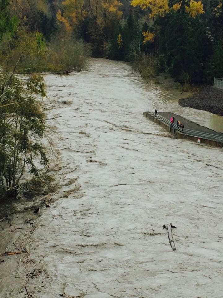 The Elwha River Rachel McElhose