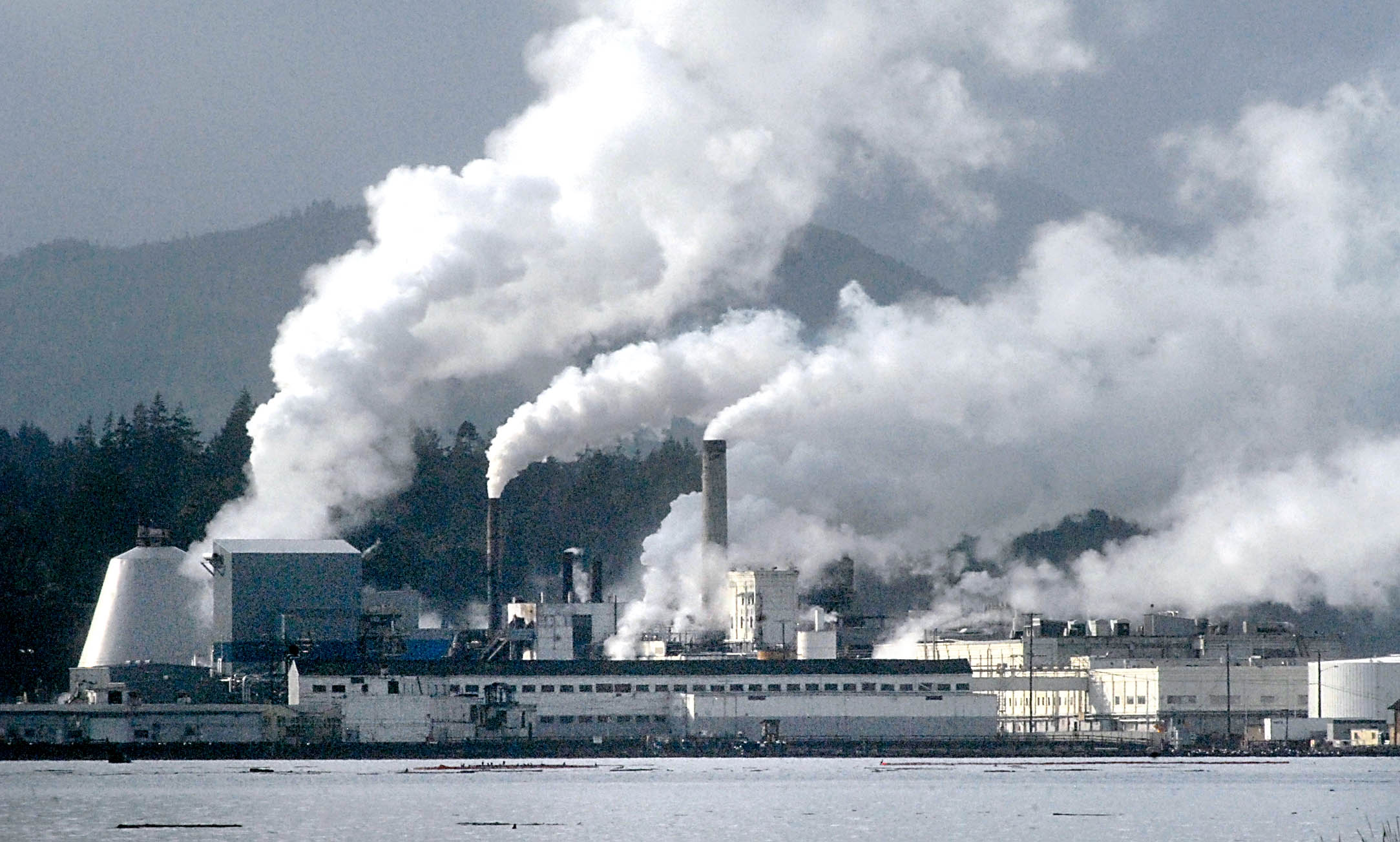 Restarting one of two paper machines at Nippon's Port Angeles mill will happen “when the economic conditions improve enough to justify resumption of operations
