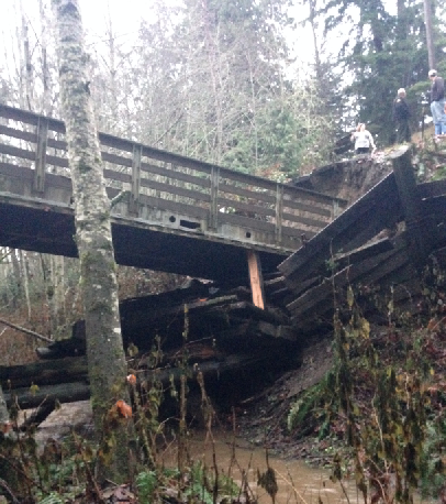 The collapsed private bridge over the East Fork of Lees Creek on Garling Road east of Port Angeles. Courtesy of Evan M. Gallacci