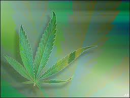 Washington state board recommends changes for medical marijuana system