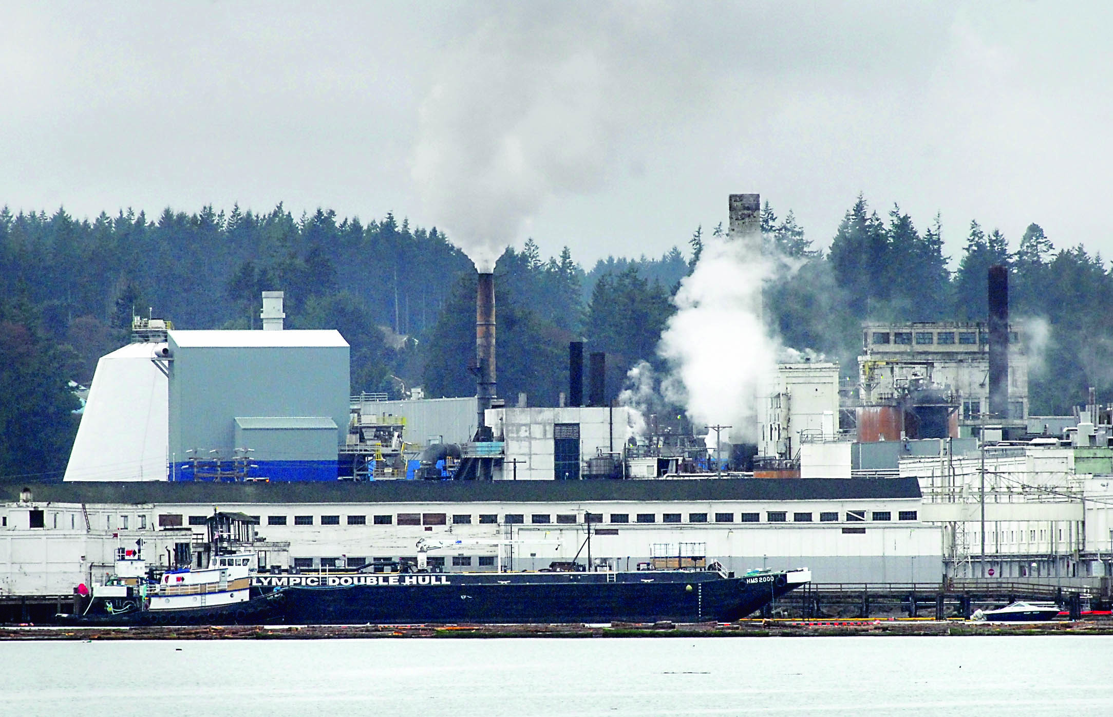 Steam billows from the Nippon Paper Industries USA mill in Port Angeles on Saturday after portions of the plant were brought back online for production