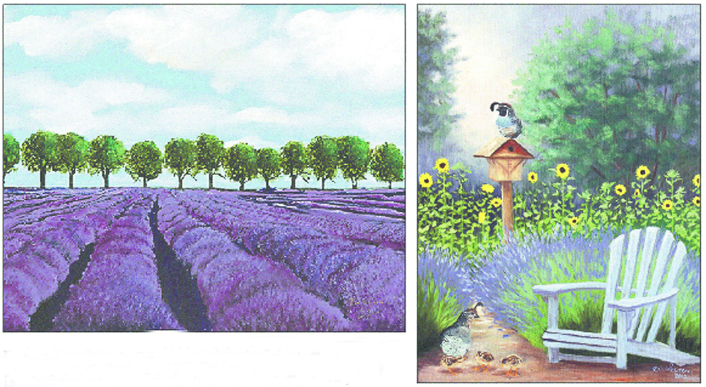 Sequim Lavender Farm Fair chose “Lavender Fields Forever