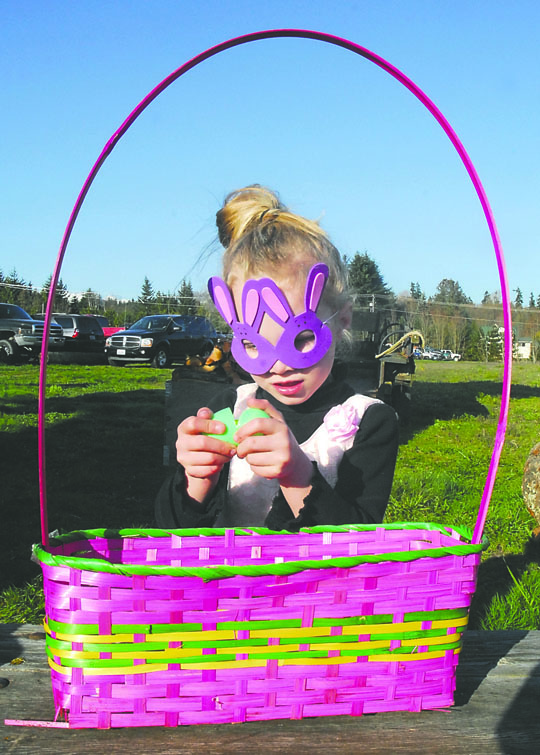 Five-year-old Alexis Showers of Port Angeles opens a plastic egg at the 35th annual KONP Easter egg hunt Saturday at The Pumpkin Patch near Carlsborg. Keith Thorpe/Peninsula Daily News