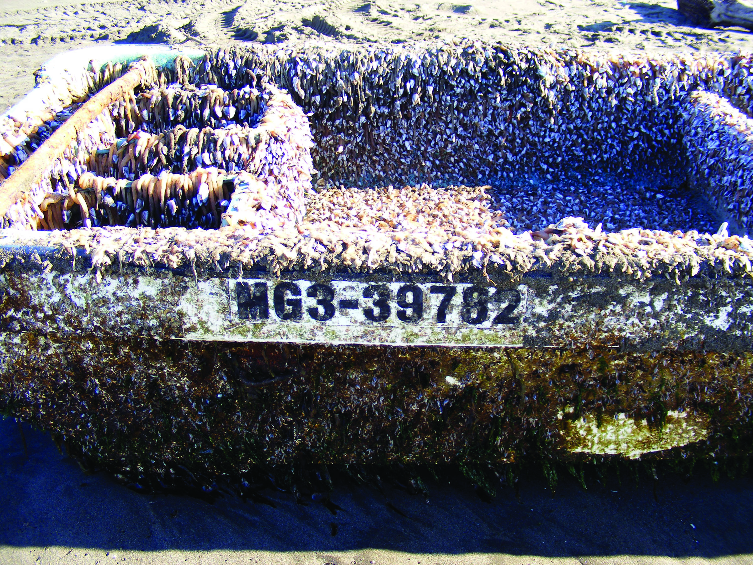 A barnacle-covered skiff that washed ashore at Twin Harbors State Park in Wesport is shown in January. The skiff was recently confirmed as debris from the March 2011 tsunami in Japan.  The Associated Press