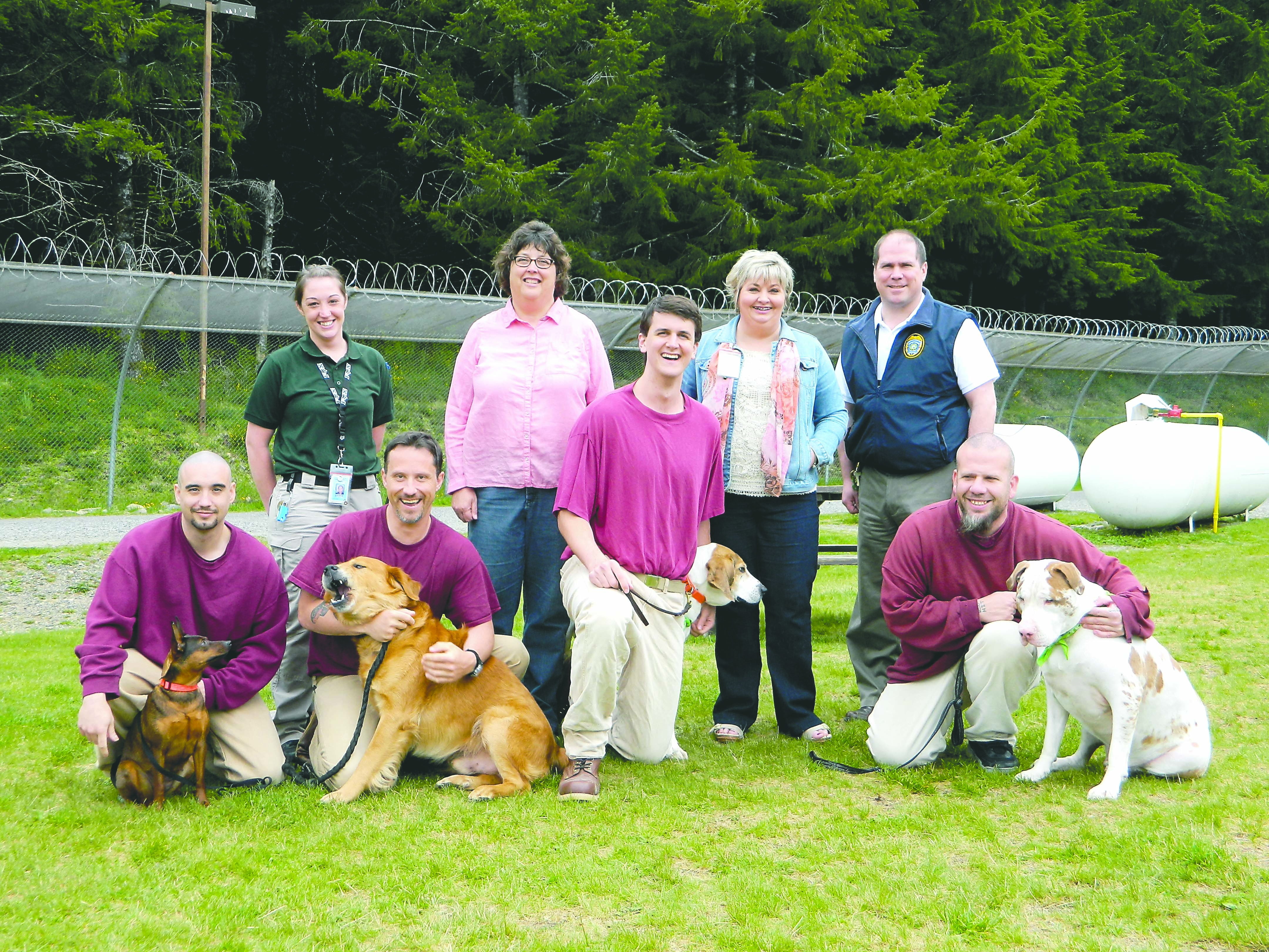 Olympic Peninsula Humane Society and Olympic Corrections Center have teamed up for a program that employs offenders in helping dogs become more adoptable. In the back row