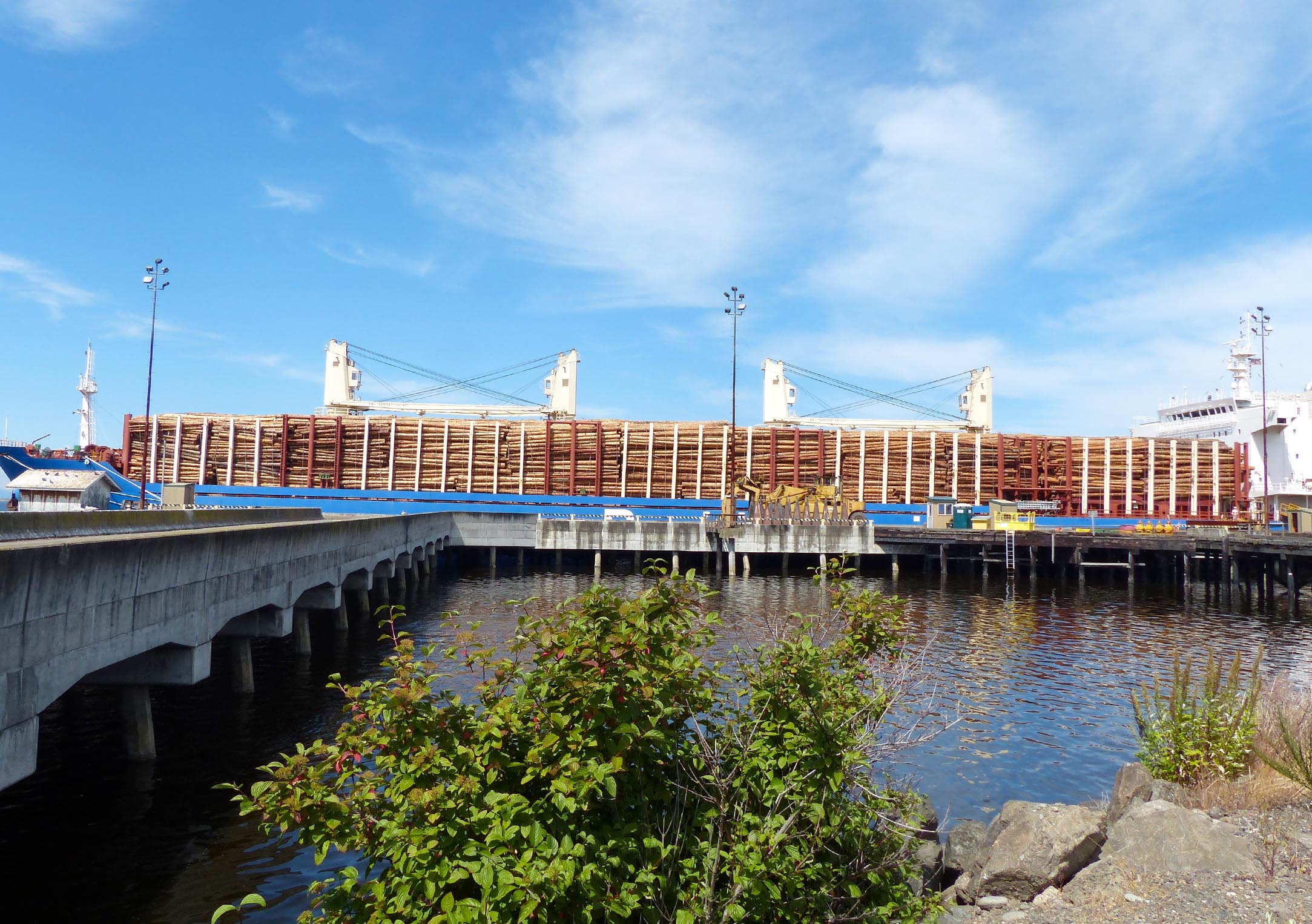 The fully loaded Jamaica Bay prepares to leave Port of Port Angeles Terminal 3 with 5.7 million board feet of logs bound for China.  —Photo by David G. Sellars/Peninsula Daily News