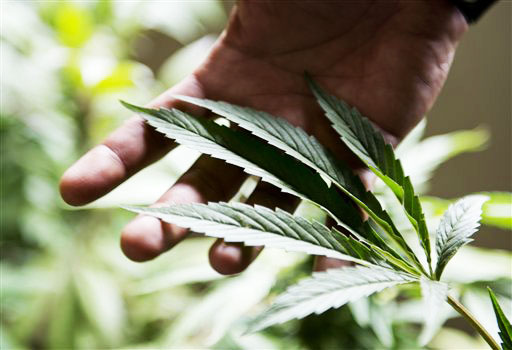 Retail marijuana sales start in state next week, but don't expect outlets on Peninsula yet