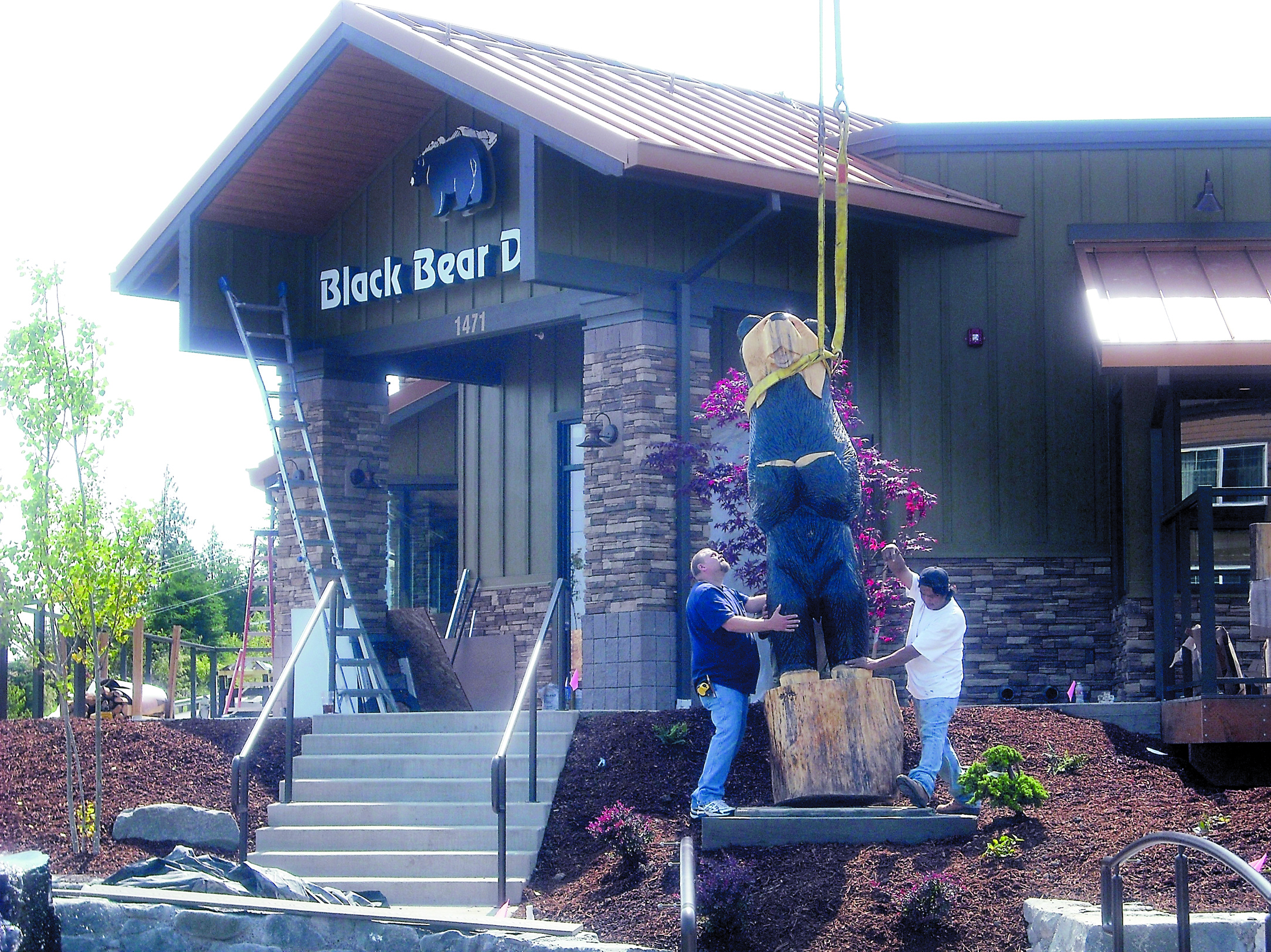 Workers lower the bear sculpture to its spot of honor in front of the Black Bear Diner Friday morning in Sequim.  -- Photo by Margaret McKenzie/Peninsula Daily News