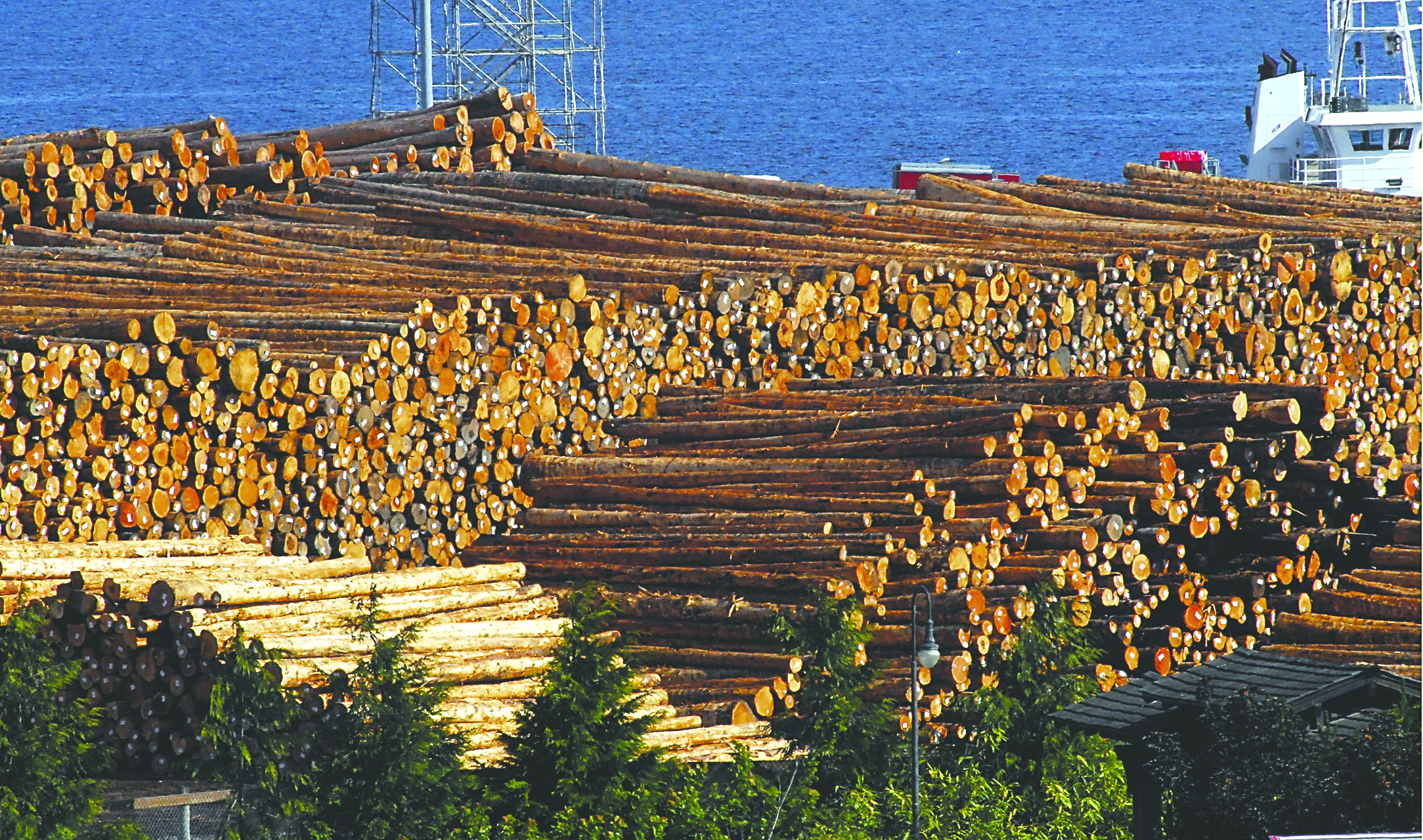 Debarked logs for export are piled high in a Port of Port Angeles log yard on Port Angeles Harbor. Keith Thorpe/Peninsula Daily News