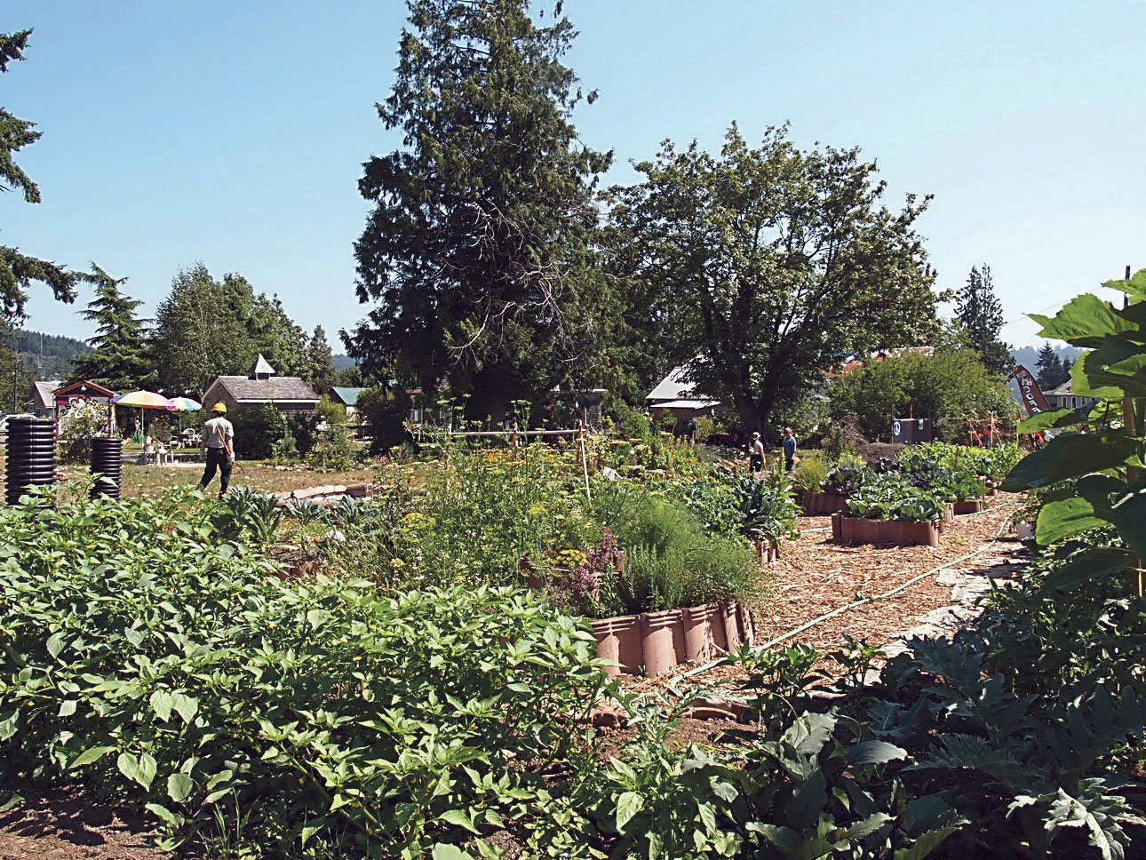 Quilcene's Q Gardens expanding into orchard, sculpture gardens