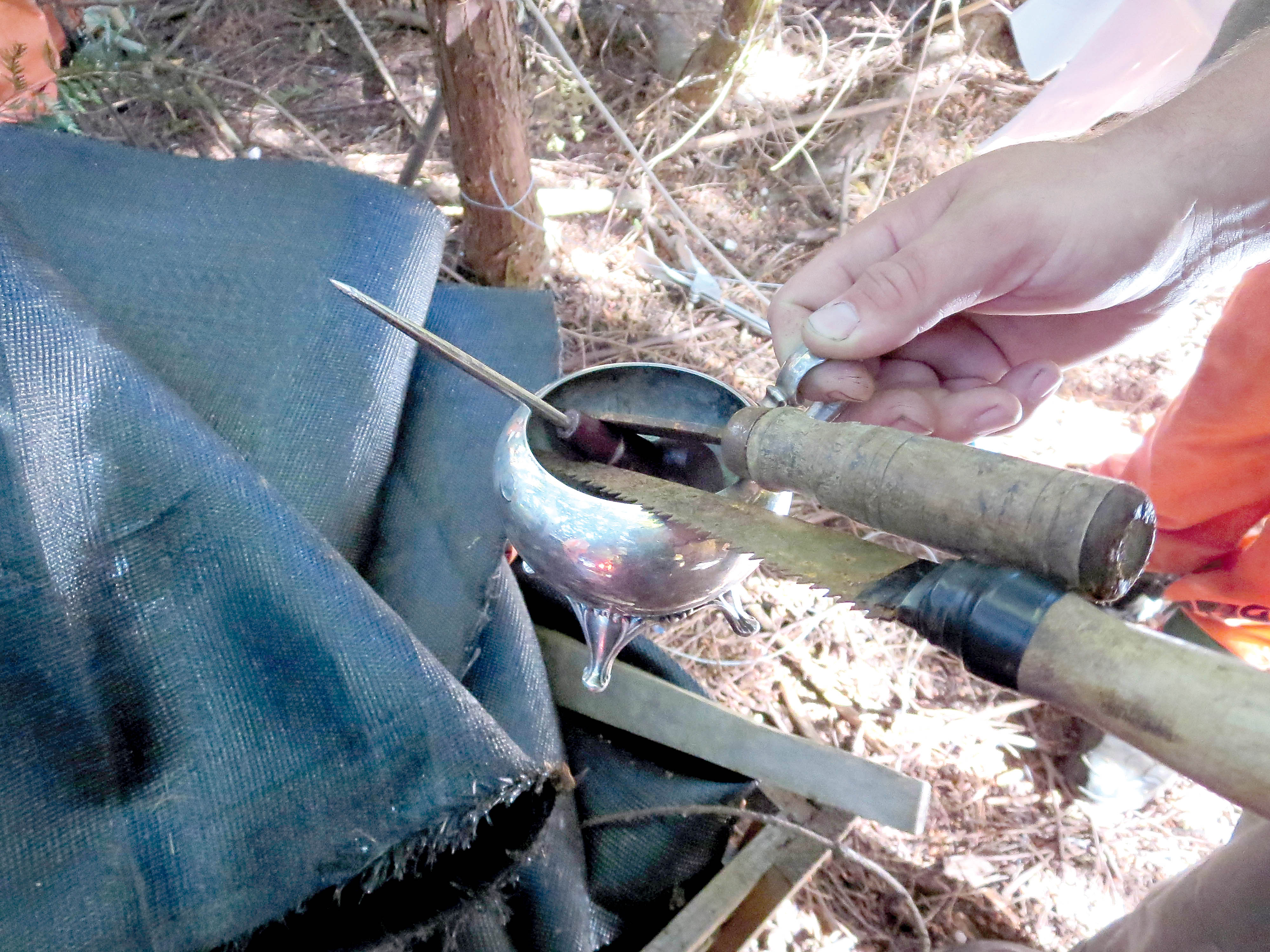A homeless camp site on Rayonier mill property along North Front Street in Port Angeles contained what appeared to be improvised tools and weapons. Port Angeles Police Department