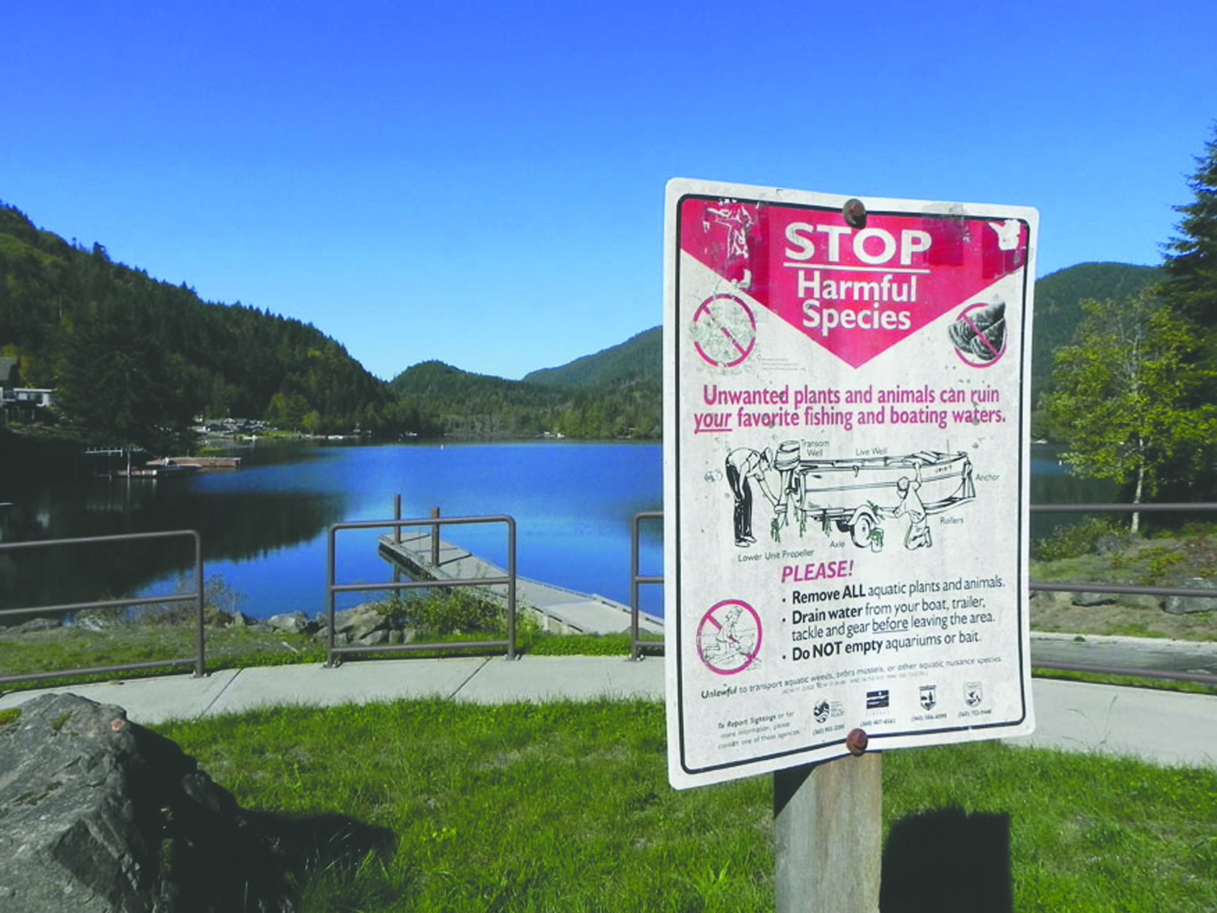 A sign at Lake Sutherland west of Port Angeles instructs boat launch users to guard against introducing non-native species like the bluegill