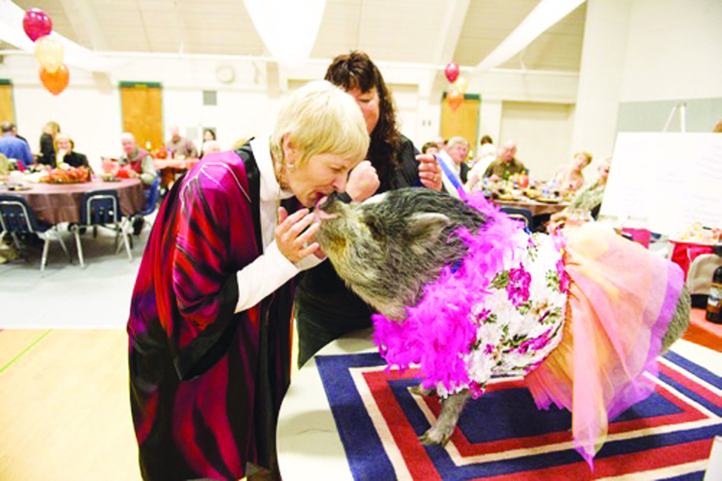 D Bellamente of the Port Angeles Senior Center puckers up to kiss a dressed-up pot-bellied pig at last year's Harvest Benefit Dinner. Park View Villas