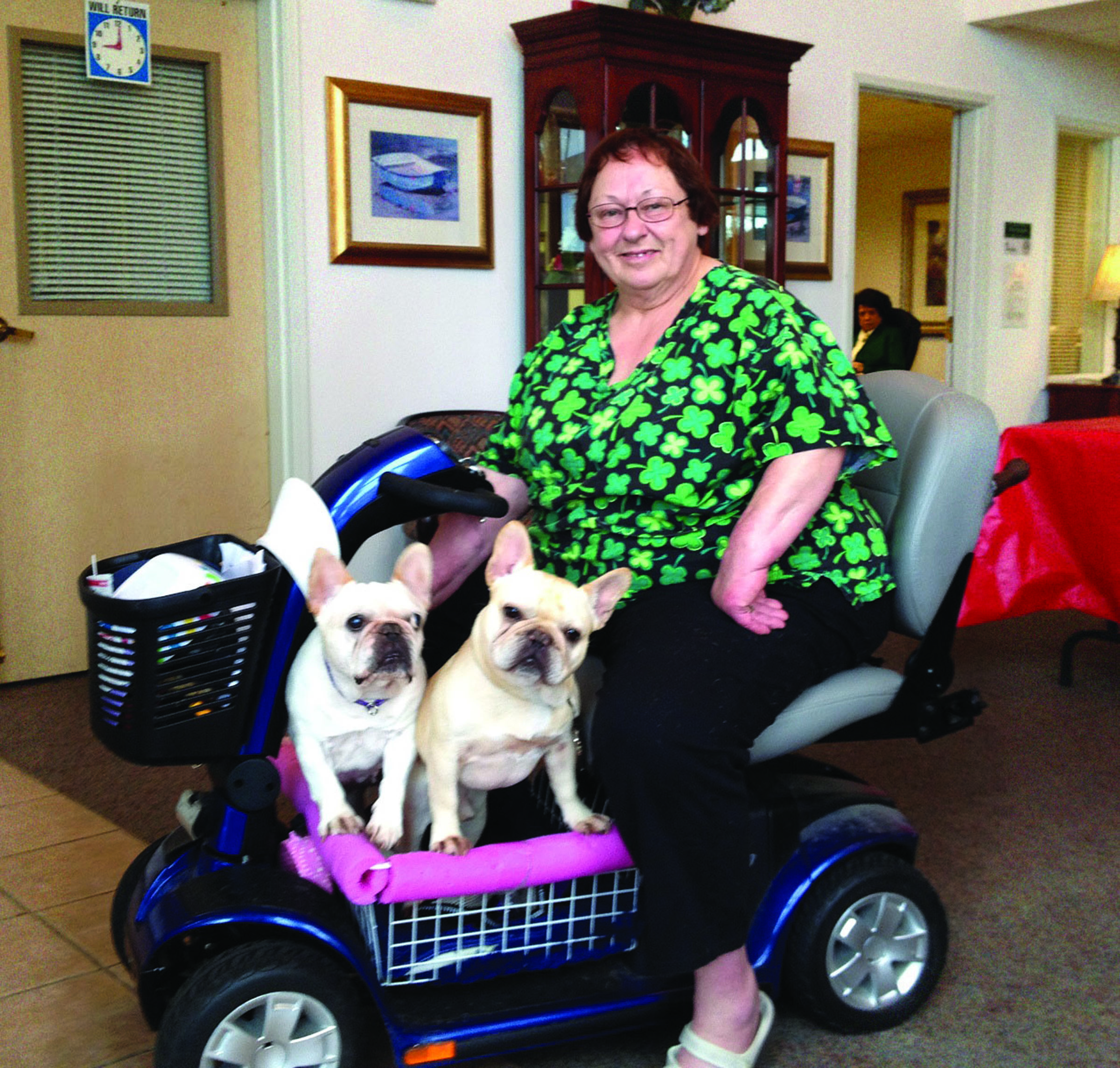 Linda Parks with her scooter and rescued French bulldogs Peanut and Pippa. Karen Griffiths/For Peninsula Daily News