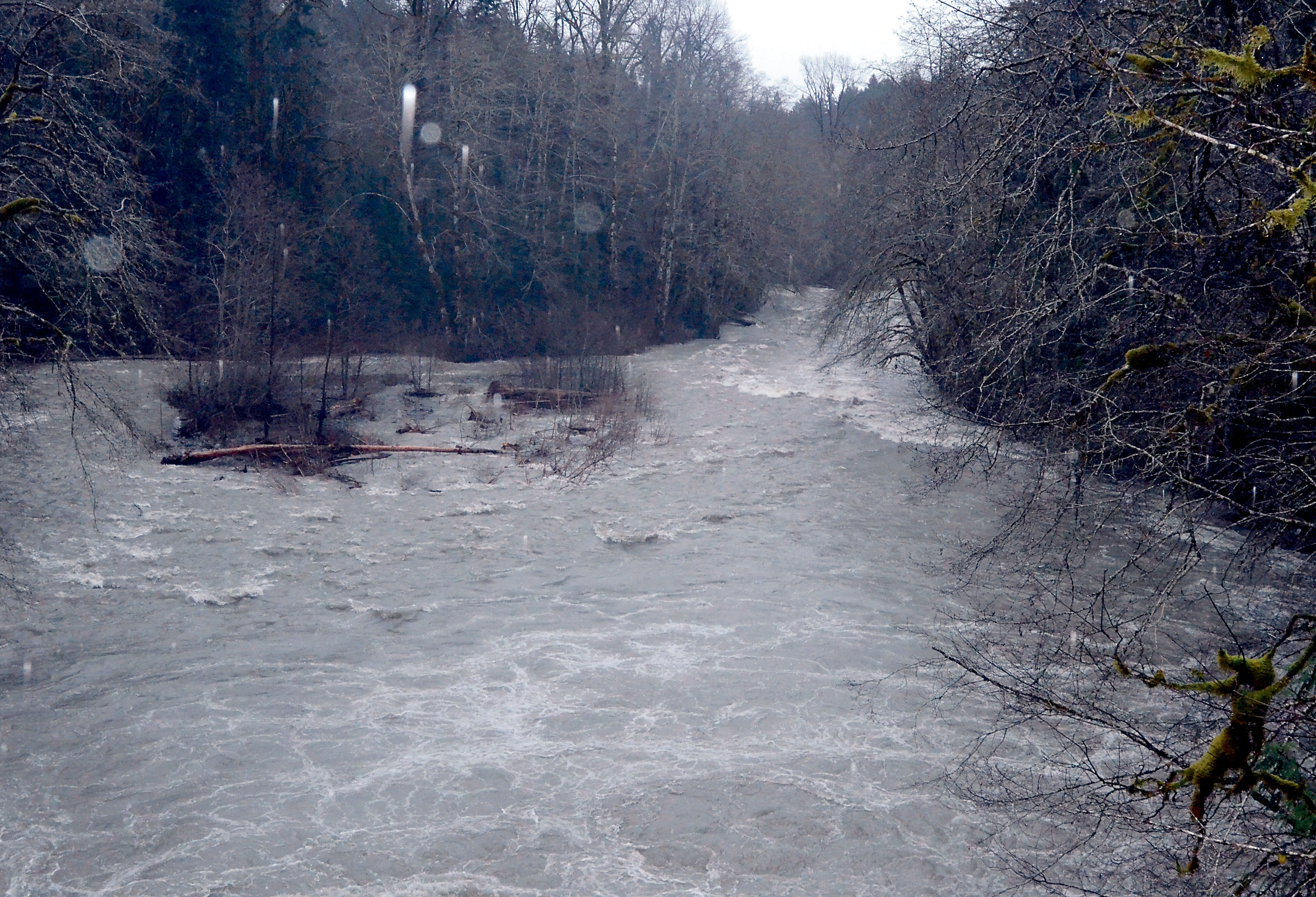 The Dosewallips River rages Thursday after the recent heavy rainfall.  Charlie Bermant/Peninsula Daily News
