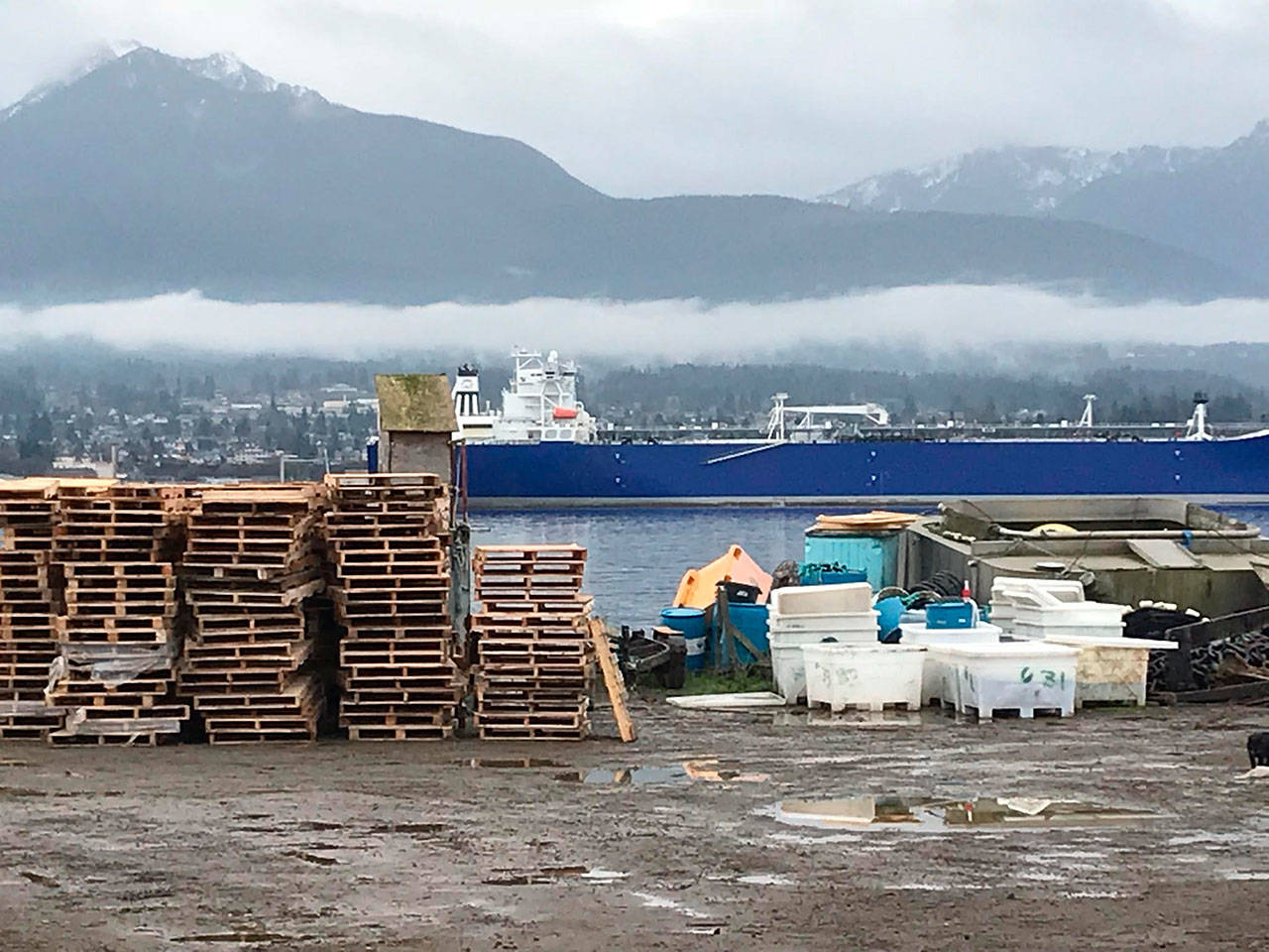 Cooke Aquaculture Pacific’s work area and office west of the Coast Guard station on Ediz Hook serves the company’s salmon farm that the state Department of Natural Resources said last week must be shut down. (Paul Gottlieb/Peninsula Daily News)