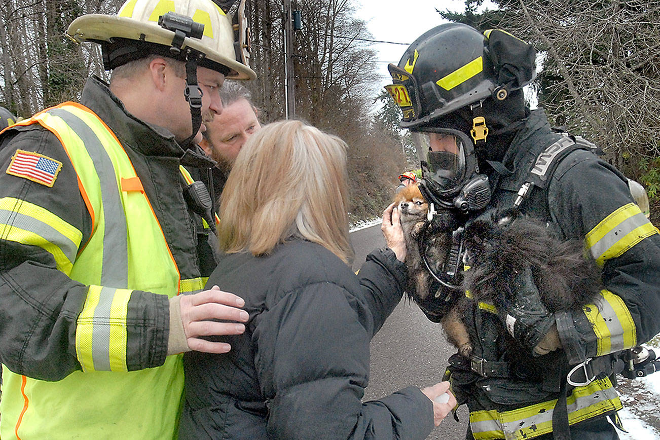 Woman, five dogs safe after Port Angeles fire