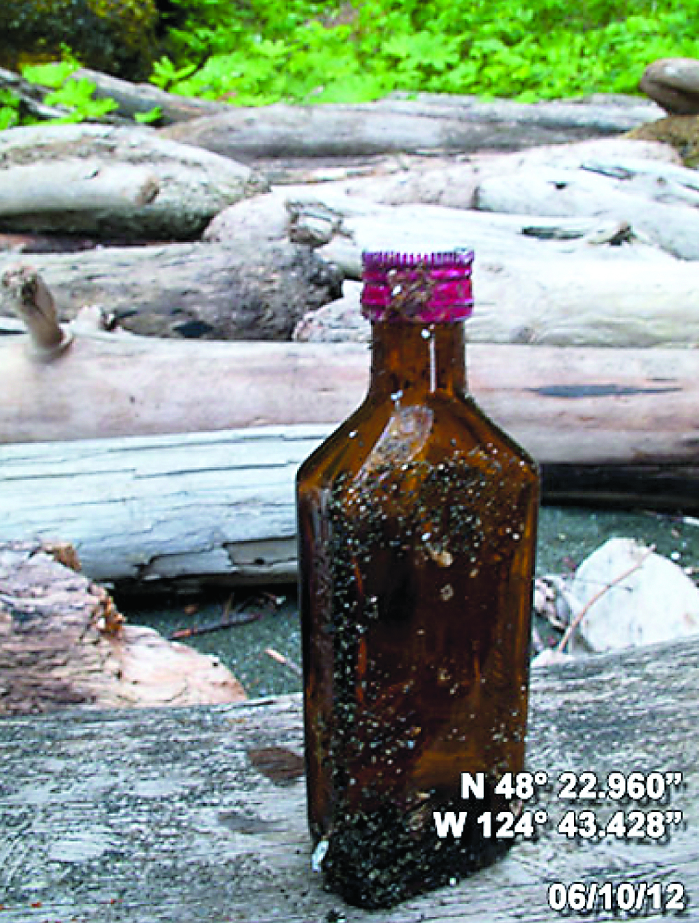 A capped bottle is part of the flotsam found on Cape B beach just south of Cape Flattery.