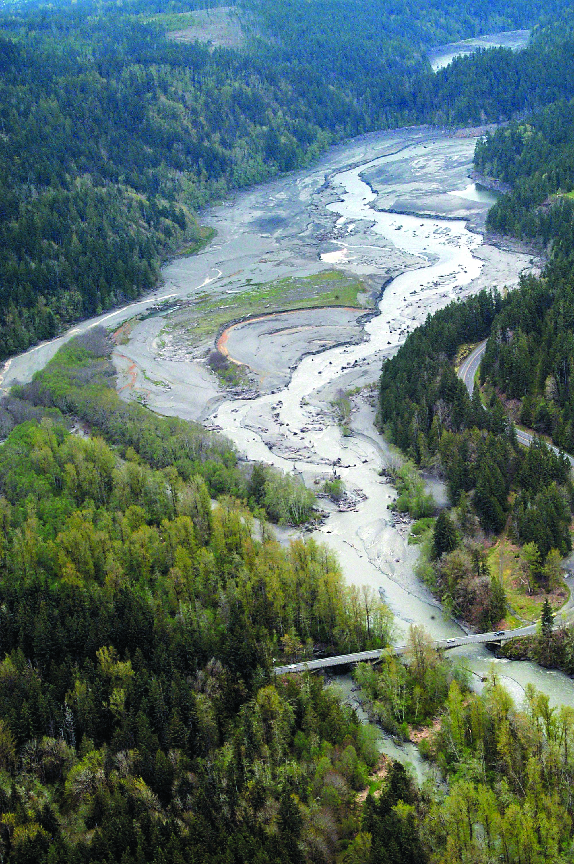 The Elwha River braids its way through what used to be Lake Aldwell behind the former Elwha Dam. With the dam now removed