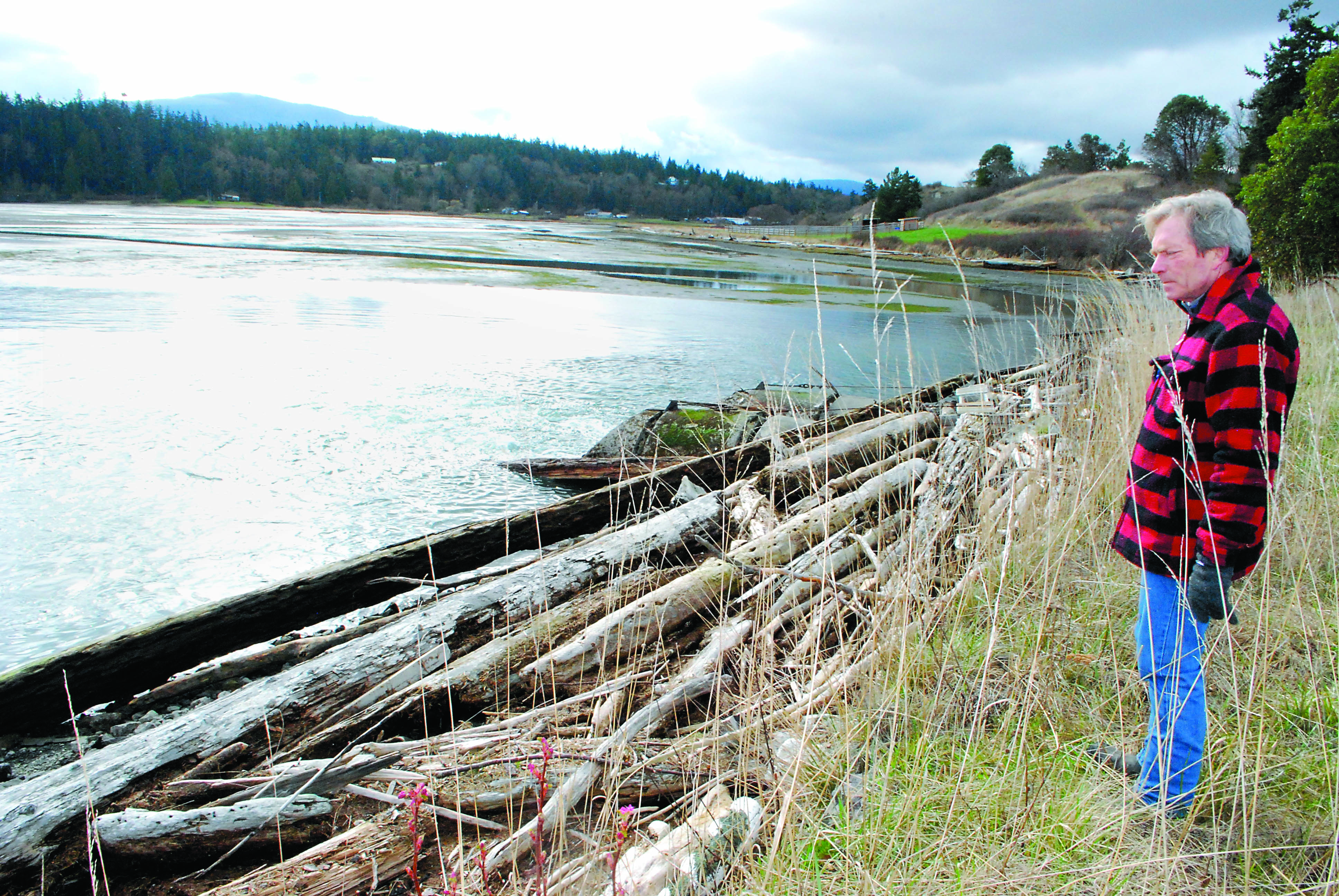 Washington Harbor property owner Mark Burrowes looks at driftwood that has lodged up against the causeway that crosses the lagoon  which is only drained by two 6-foot culverts