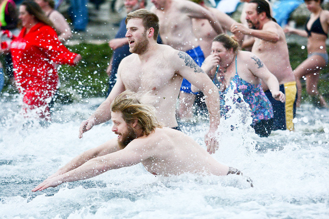 Swimmers dive into the Strait of Juan de Fuca during the annual Polar Bear Dip at Hollywood Beach in Port Angeles on Monday. (Jesse Major/Peninsula Daily News)