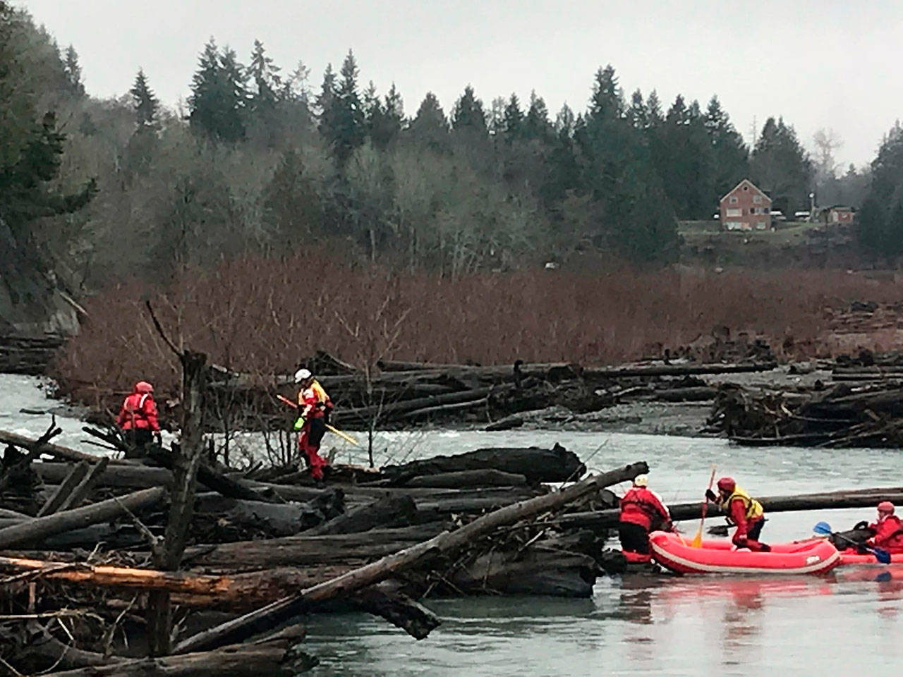 A search-and-rescue crew clamber over an Elwha River logjam Monday morning, looking for a Sequim woman whose husband reported her missing Sunday evening. (Paul Gottlieb/Peninsula Daily News)