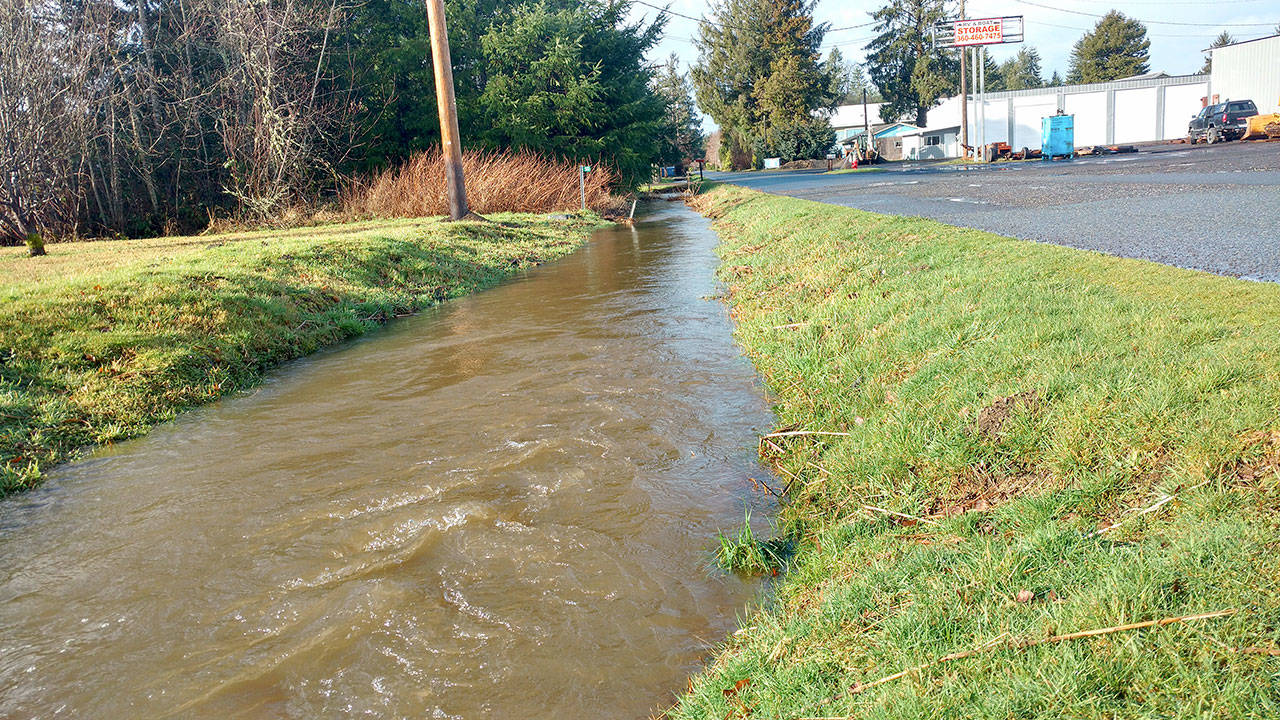 Where most cities have sidewalks, most Forks streets — such as G Street, shown here — have drainage ditches. Driveways are built like mini-bridges over the ditch. They are only full like this a few times a year, but earn their keep at times like this. (Zorina Barker/for Peninsula Daily News)