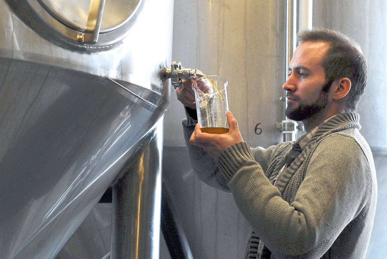 Port Townsend Brewing assistant head brewer Chris Weir draws a specific gravity sample to test sugar levels in a new beer developed for this weekend’s Strange Brewfest. (Jeannie McMacken/for Peninsula Daily News)
