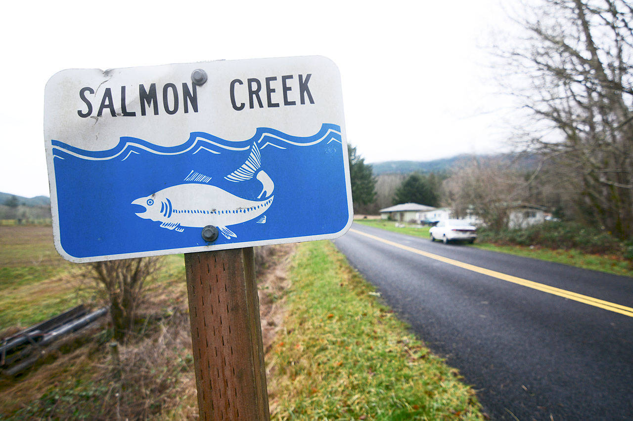 Starting over the summer, a portion of West Uncas Road will be closed for several months to allow the culvert at Salmon Creek to be replaced with an 80-foot concrete bridge to eliminate a fish passage barrier. (Jesse Major/Peninsula Daily News)