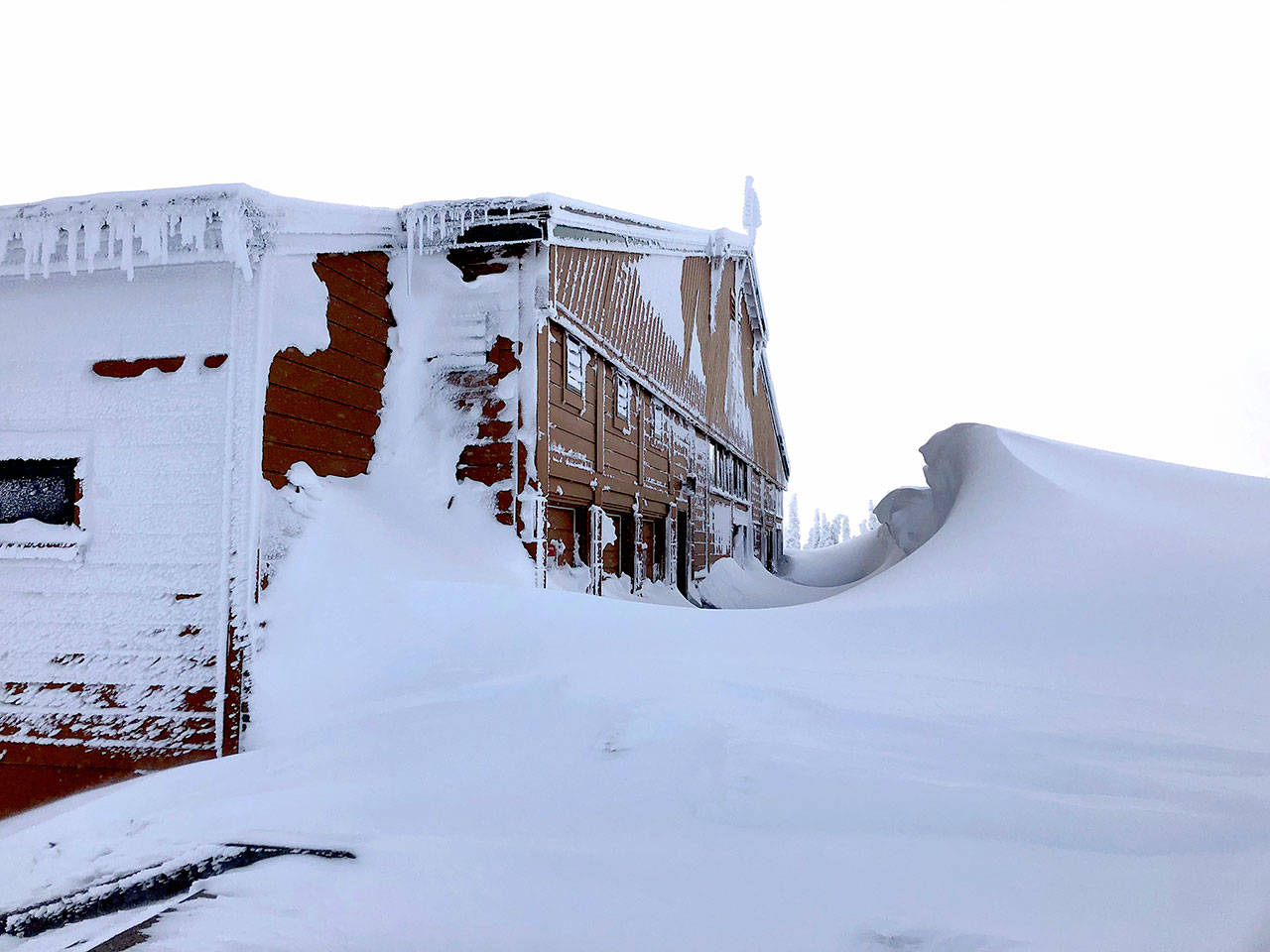 Fourteen-foot snow drifts were sculpted by high wind near the visitor center at Hurricane Ridge in the photograph taken Friday. (Sarah Crosier/National Park Service)