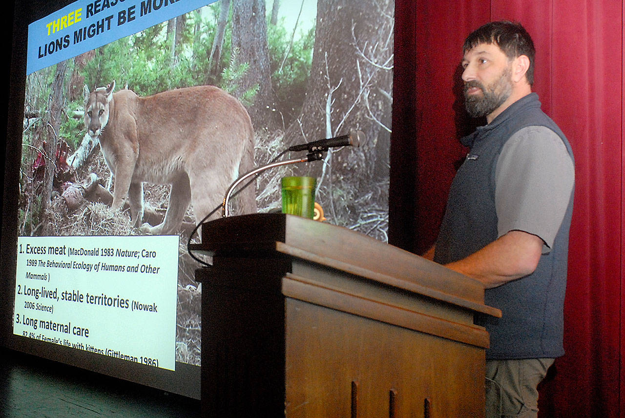 Mountain lion researcher Mark Elbroch gives a presentation on cougar interactions during Thursday’s Studium Generale lecture at Peninsula College in Port Angeles. (Keith Thorpe/Peninsula Daily News)