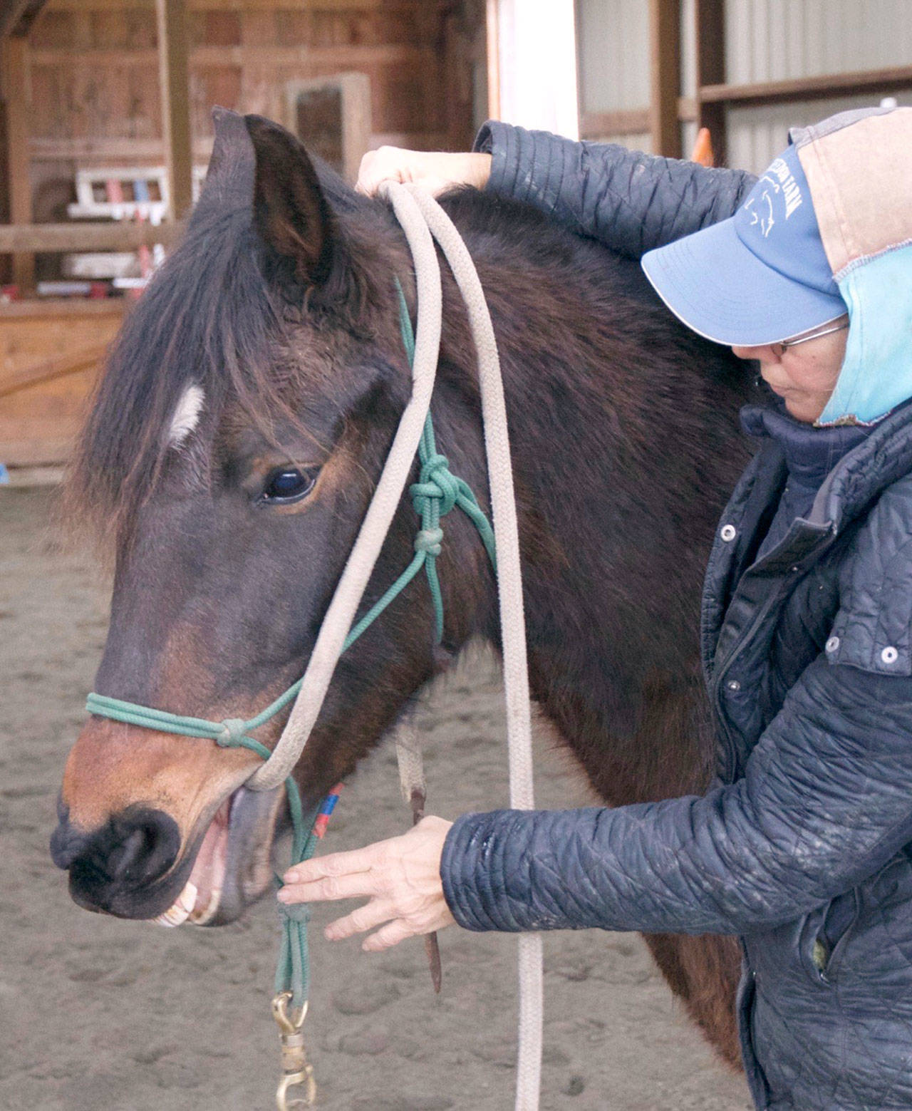 Freedom Farm owner Mary Gallagher shares her insights on teaching patterns related to teaching a horse to accept the bridle via her blog on her websie at &lt;a href="https://www.freedom-farm.net/" target="_blank"&gt;Freedom-farm.net&lt;/a&gt;. (Mary Tulin)