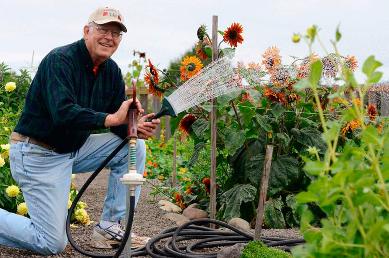 Bob Caldwell has been a longtime organizer, water manager and now treasurer of the Community Organic Gardens of Sequim. (Sonja Younger)