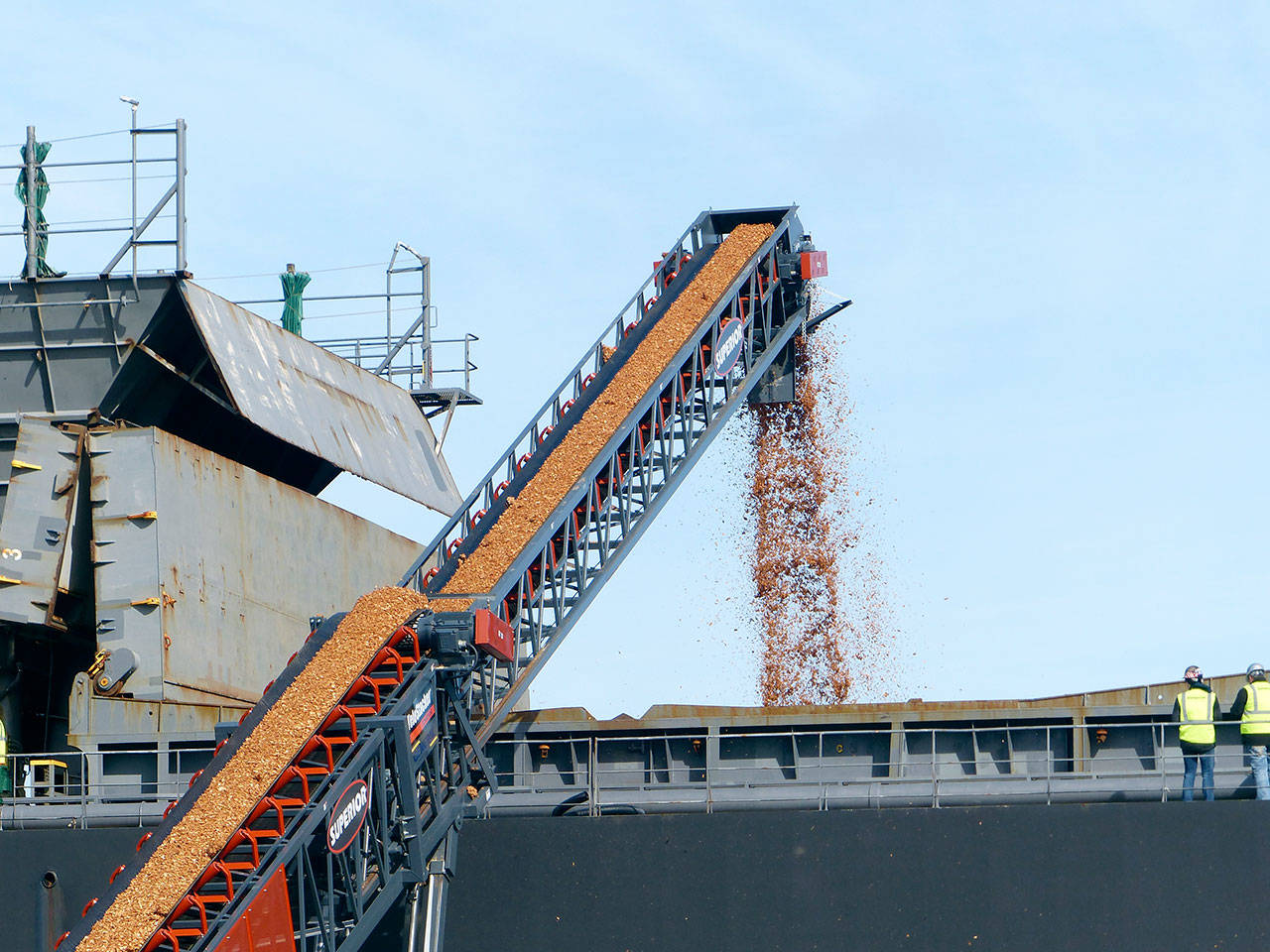 Wood chips are loaded into a hold on the Kutai Express by conveyor. (David G. Sellars/for Peninsula Daily News)