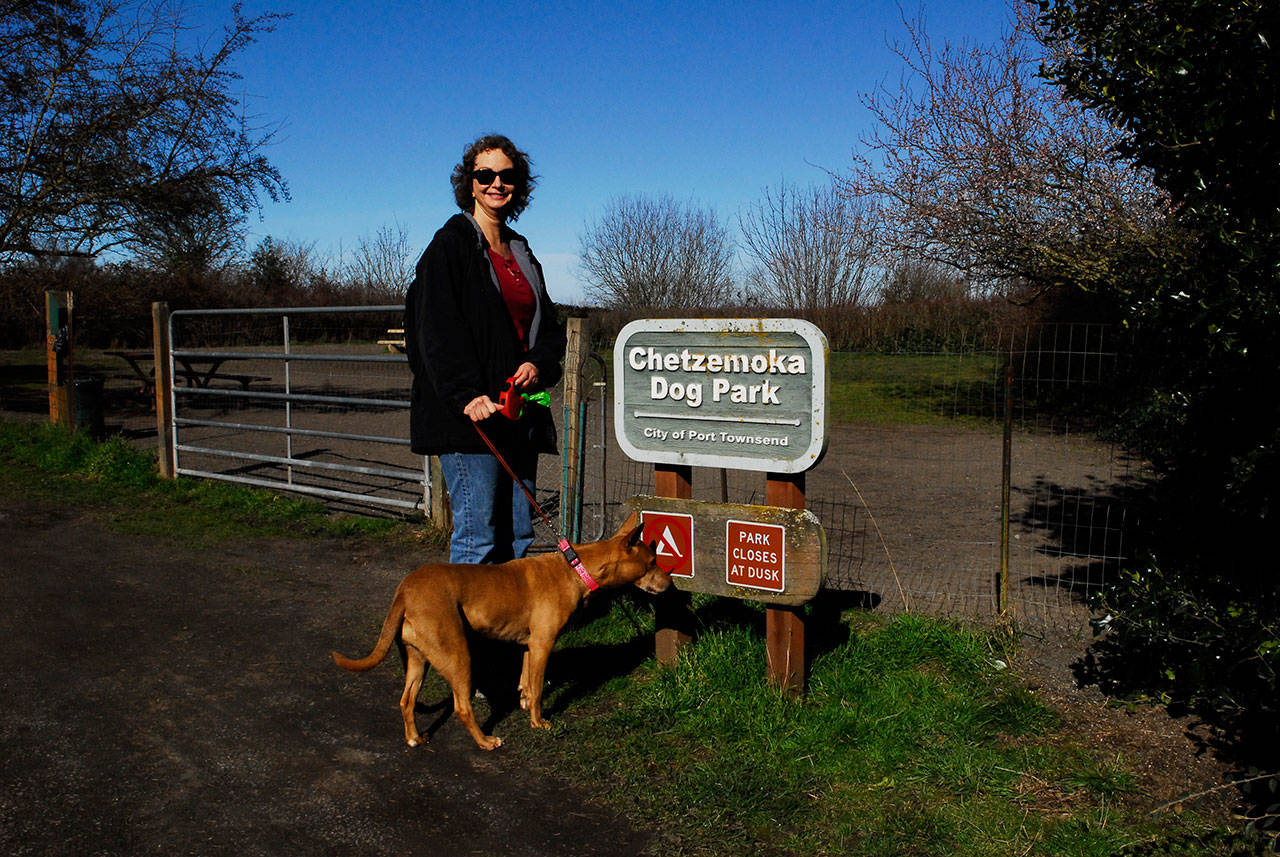 Mary Chapman of Port Townsend, and Star, a 6-year-old Rhodesian ridgeback/basenji mix, a shelter pup from Sacramento, take a walk Tuesday at Chetzemoka Dog Park, the only recognized off-leash area in the city. The Port Townsend City Council voted Monday to designate an additional area at the Mountain View Campus. (Jeannie McMacken/Peninsula Daily News)