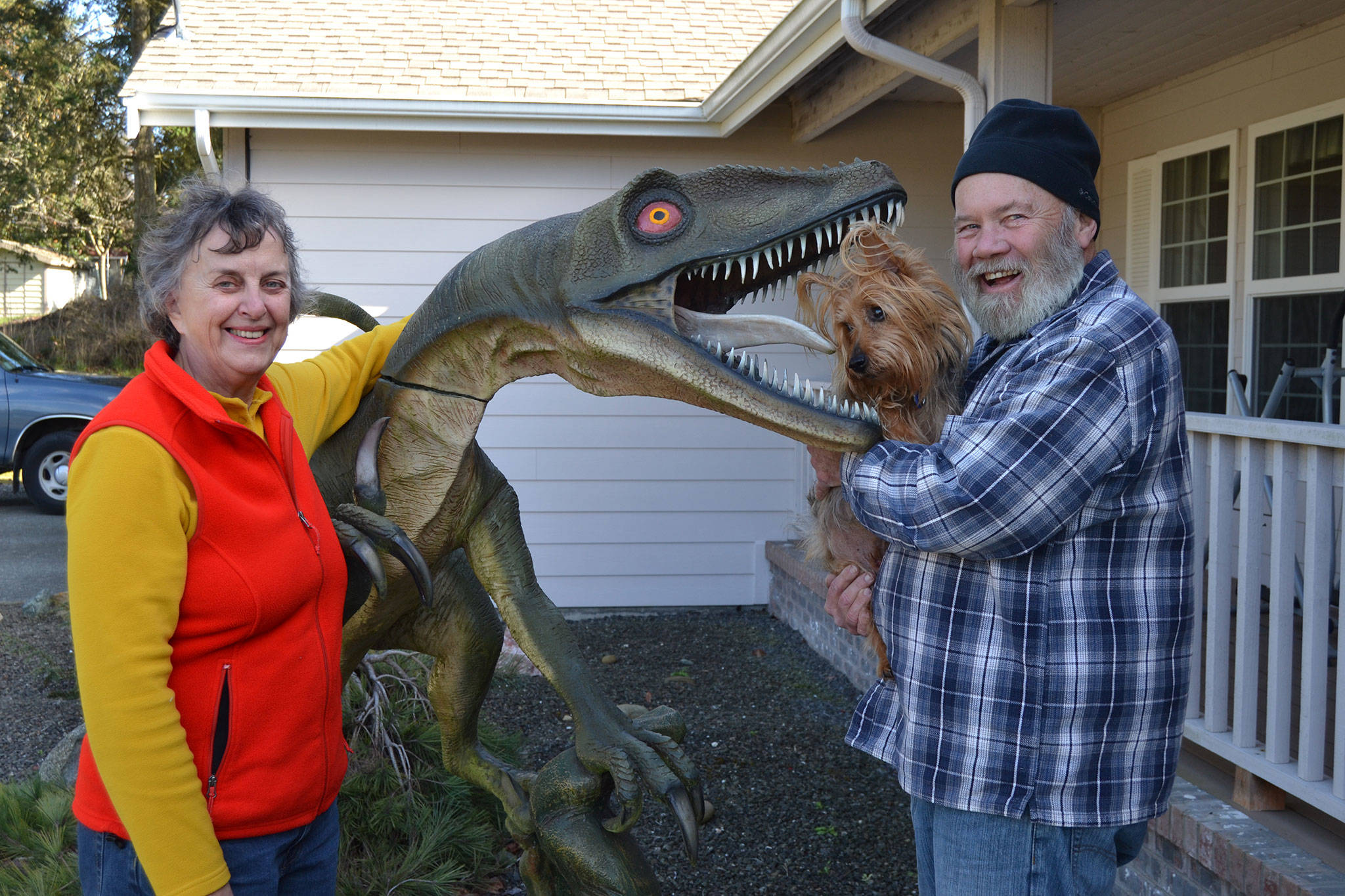 Sue and Tom Runyan with their dog Rufus stand by the family’s decorative dinosaur, a velociraptor that they’ve had in front of their Dungeness’ home for more than seven years. (Matthew Nash/Olympic Peninsula News Group)