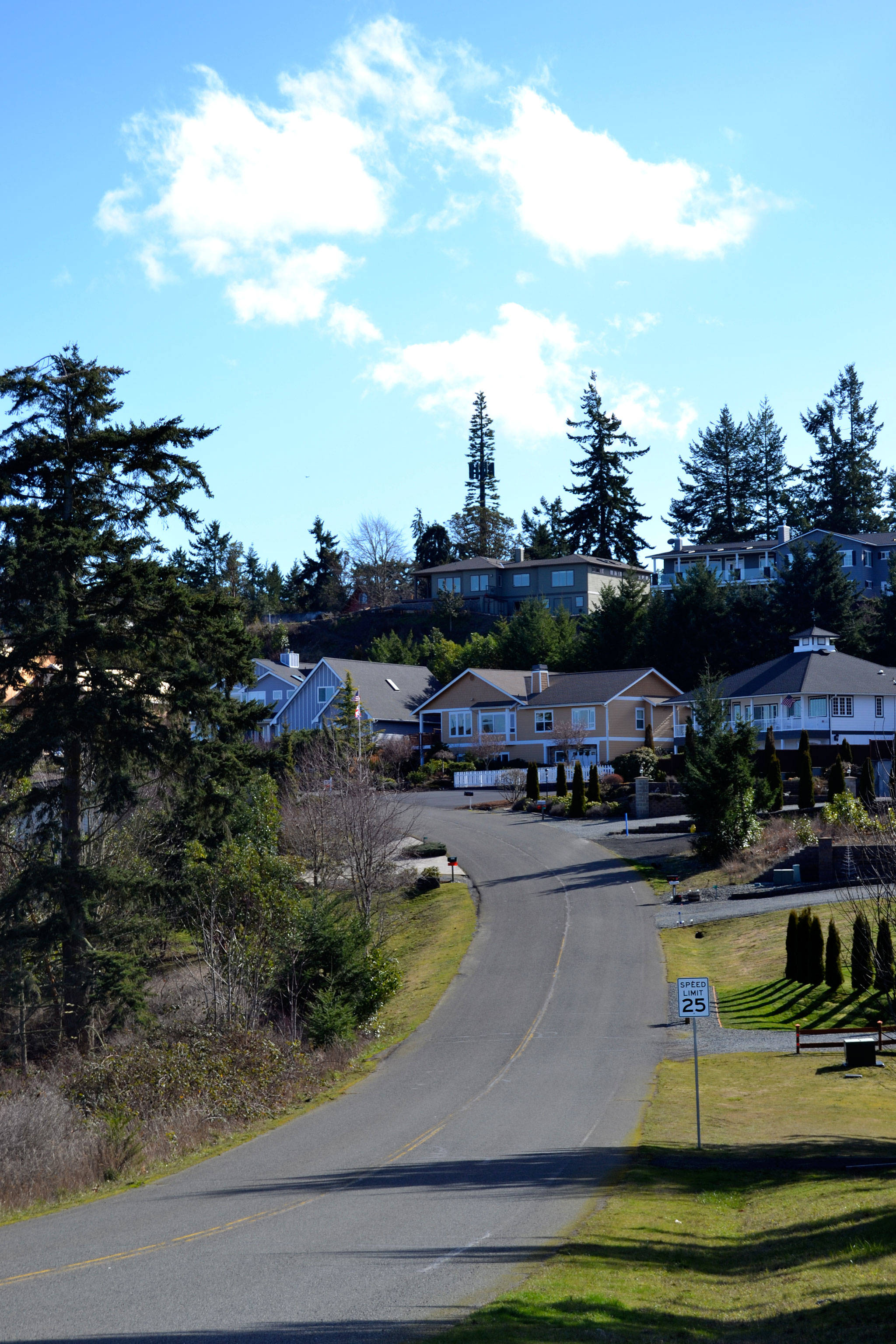 A new radio-cell tower disguised as a fir tree went up and live earlier this year atop Dungeness Heights and hosts new FM station 104.9 KZQM and expands service for KONP 1450 AM news radio as 101.7 FM. (Matthew Nash/Olympic Peninsula News Group)