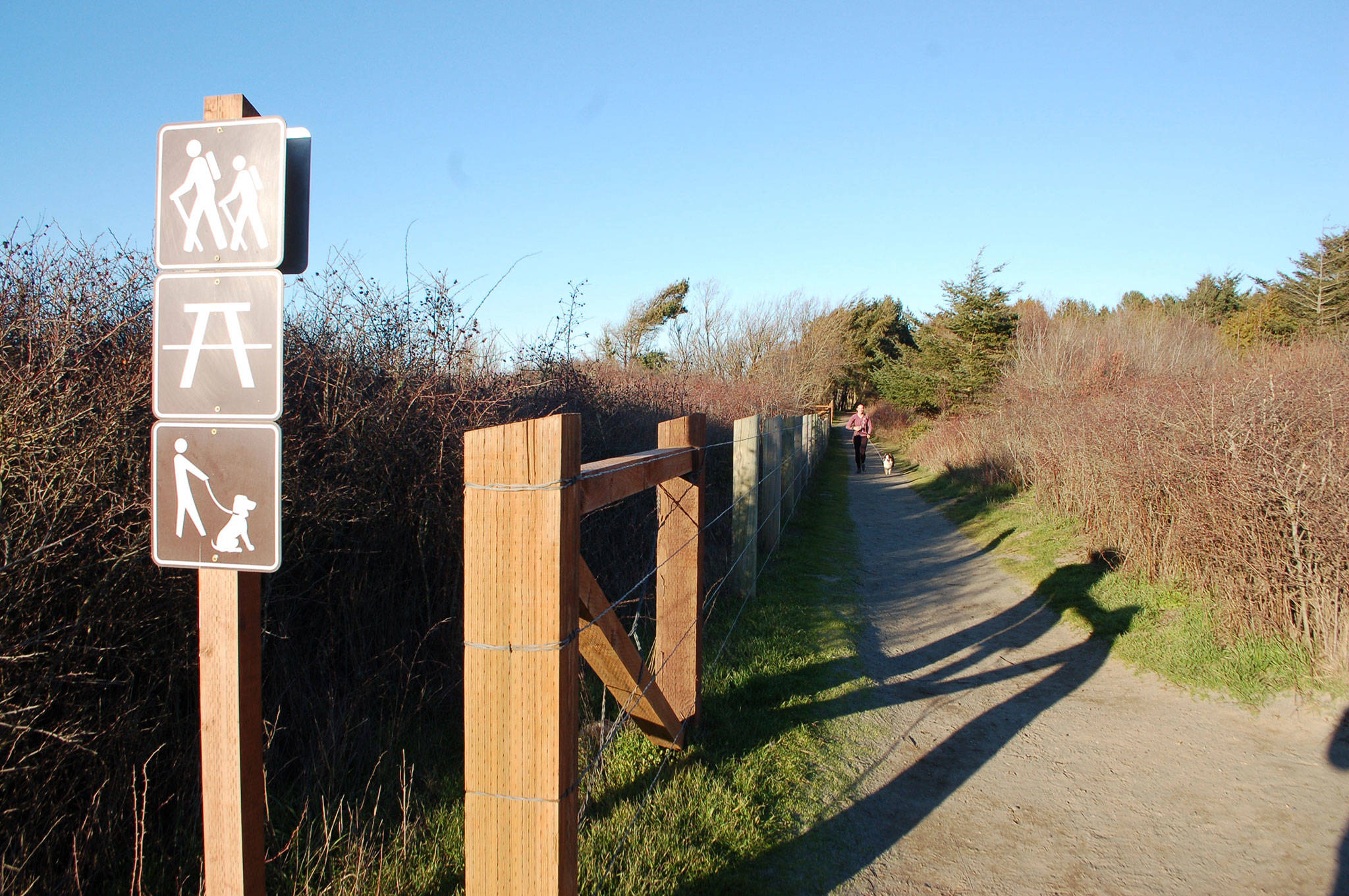 One of the proposed changes to the Dungeness Recreation Area Master Plan includes realigning the bluff trails closer to the campgrounds due to continued erosion along the bluffs, according to the Clallam Count Parks Department. Sequim Gazette photo by Erin Hawkins