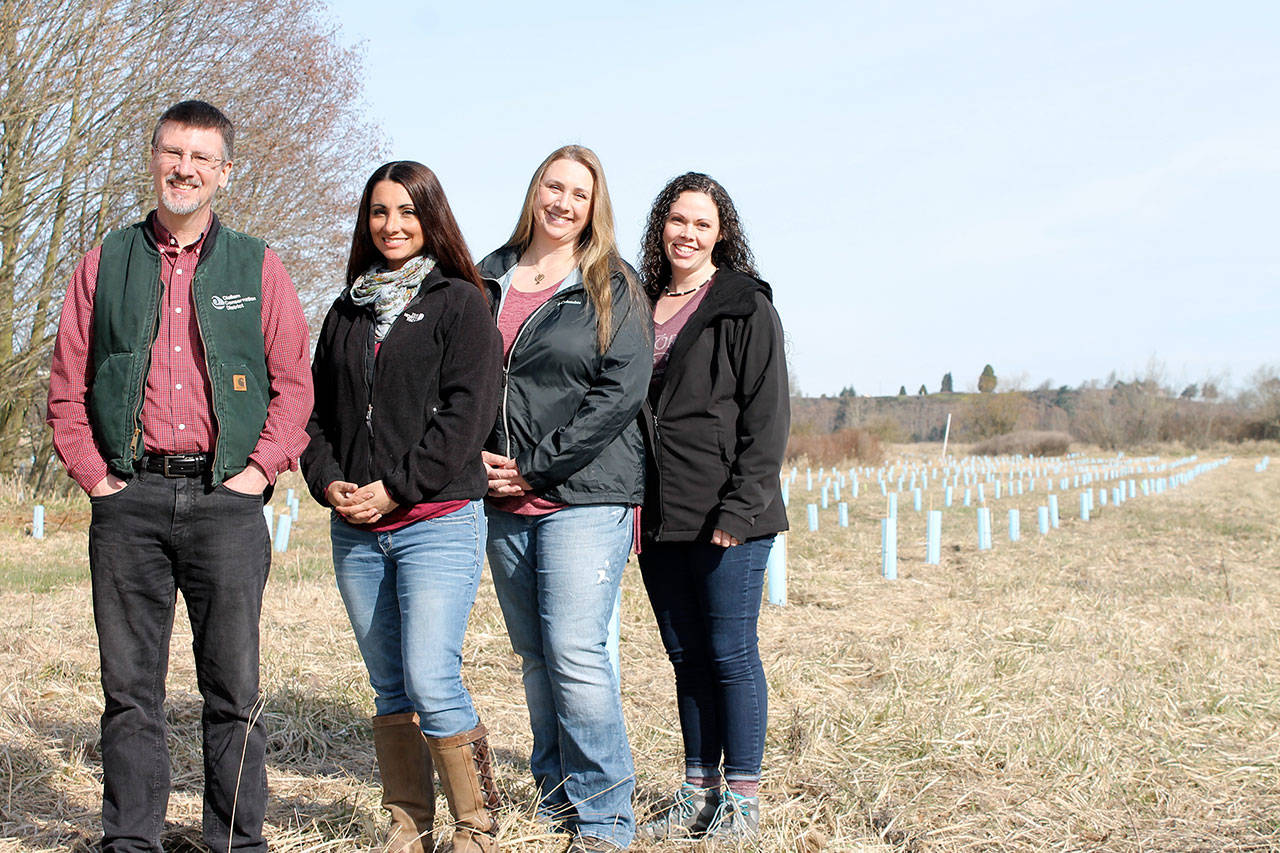 Pictured from left are Clallam Conservation District Executive Director Joe Holtrop, Conservation Planner Jennifer Bond, Conservation Planner Meghan Adamire and Administrative Assistant Judy Minnoch at one of the districts riparian restoration sites in the Sequim-Dungeness Valley.