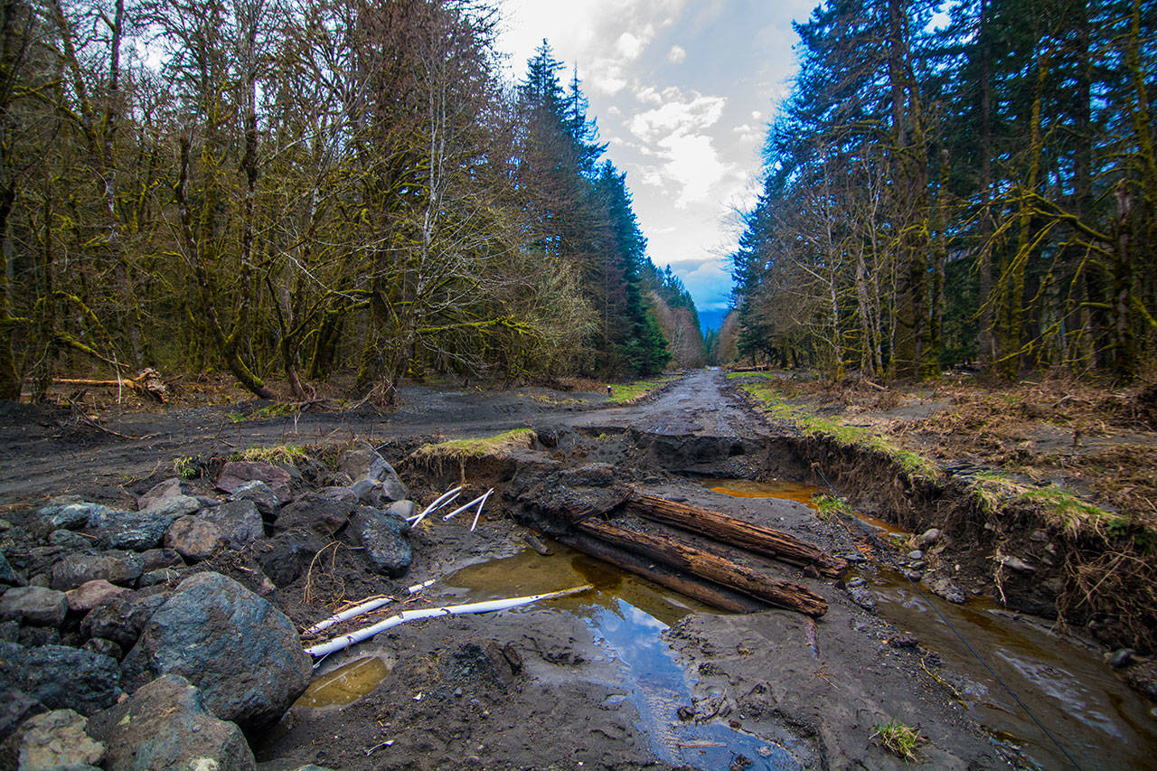 The Elwha River damaged Olympic Hot Springs Road, exposing pipes and making access to the Elwha River Valley more difficult. (Jesse Major/Peninsula Daily News)