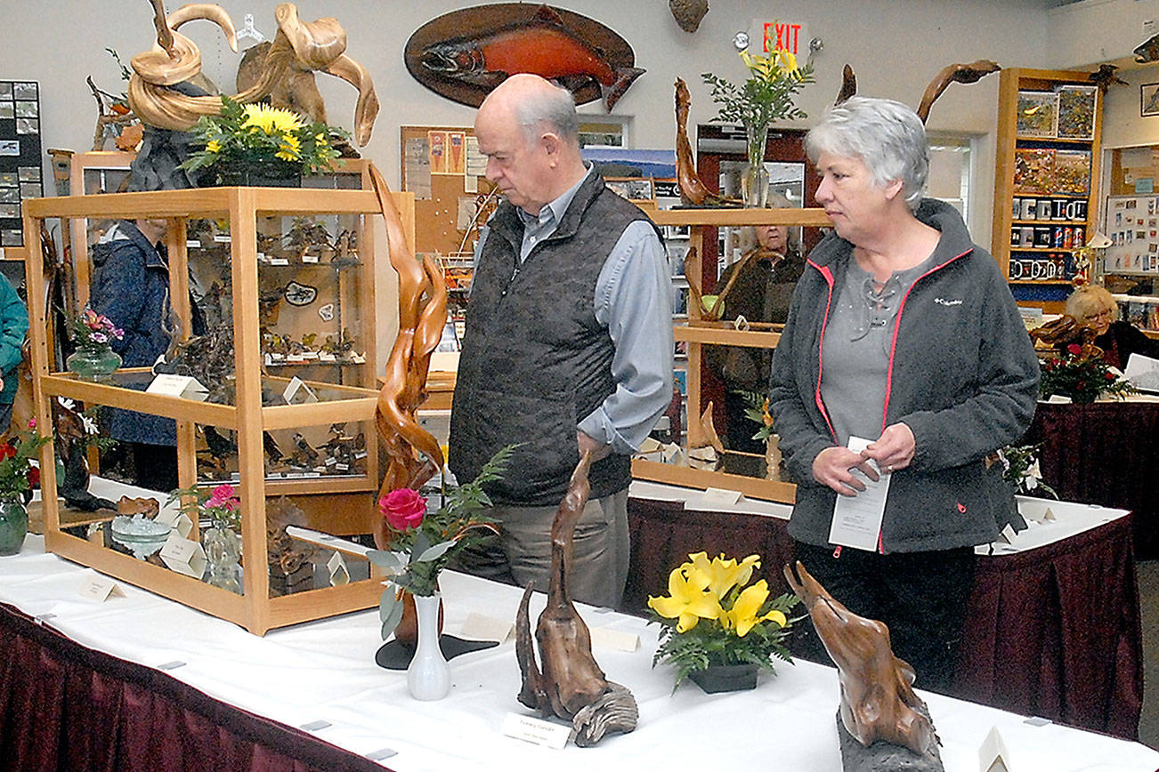 Driftwood Art Show celebrates 10 years at Audubon Center