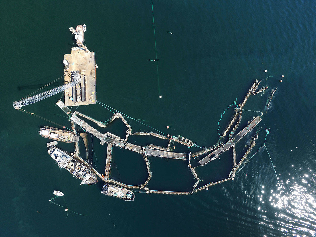 In this Aug. 28, 2017, photo provided by the State Department of Natural Resources, a crane and boats are anchored next to a collapsed net pen used by Cooke Aquaculture Pacific to farm Atlantic Salmon near Cypress Island after a failure of the nets allowed tens of thousands of the nonnative fish to escape. (David Bergvall/Washington State Department of Natural Resources via AP)