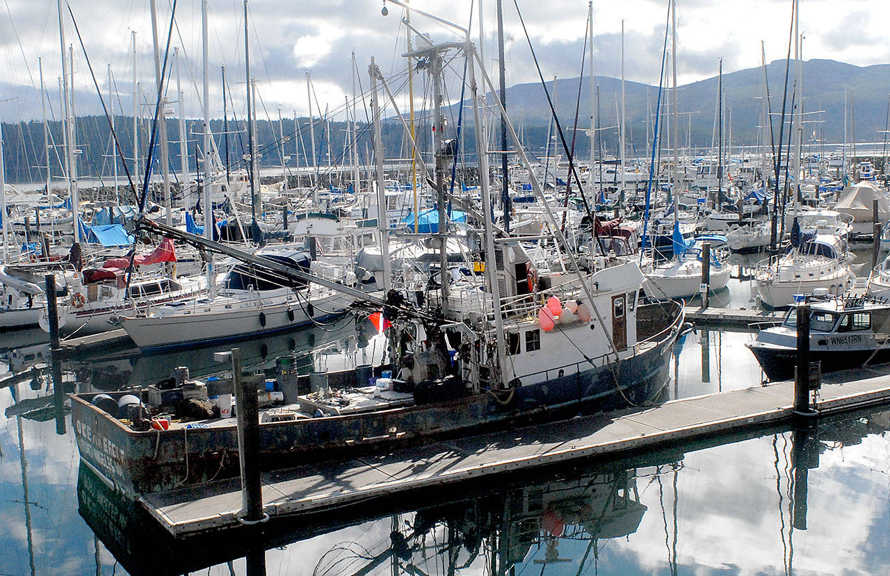 A second developer has shown interest in buying the Port of Port Angeles’ John Wayne Marina on Sequim Bay east of Sequim. (Keith Thorpe/Peninsula Daily News)