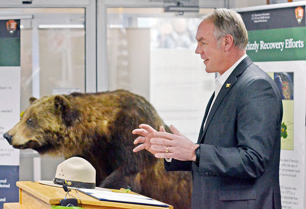 Secretary of the Interior Ryan Zinke speaks in support of the re-introduction of the grizzly bear to the North Cascades in Washington during a news conference Friday. (Scott Terrell/Skagit Valley Herald via AP)