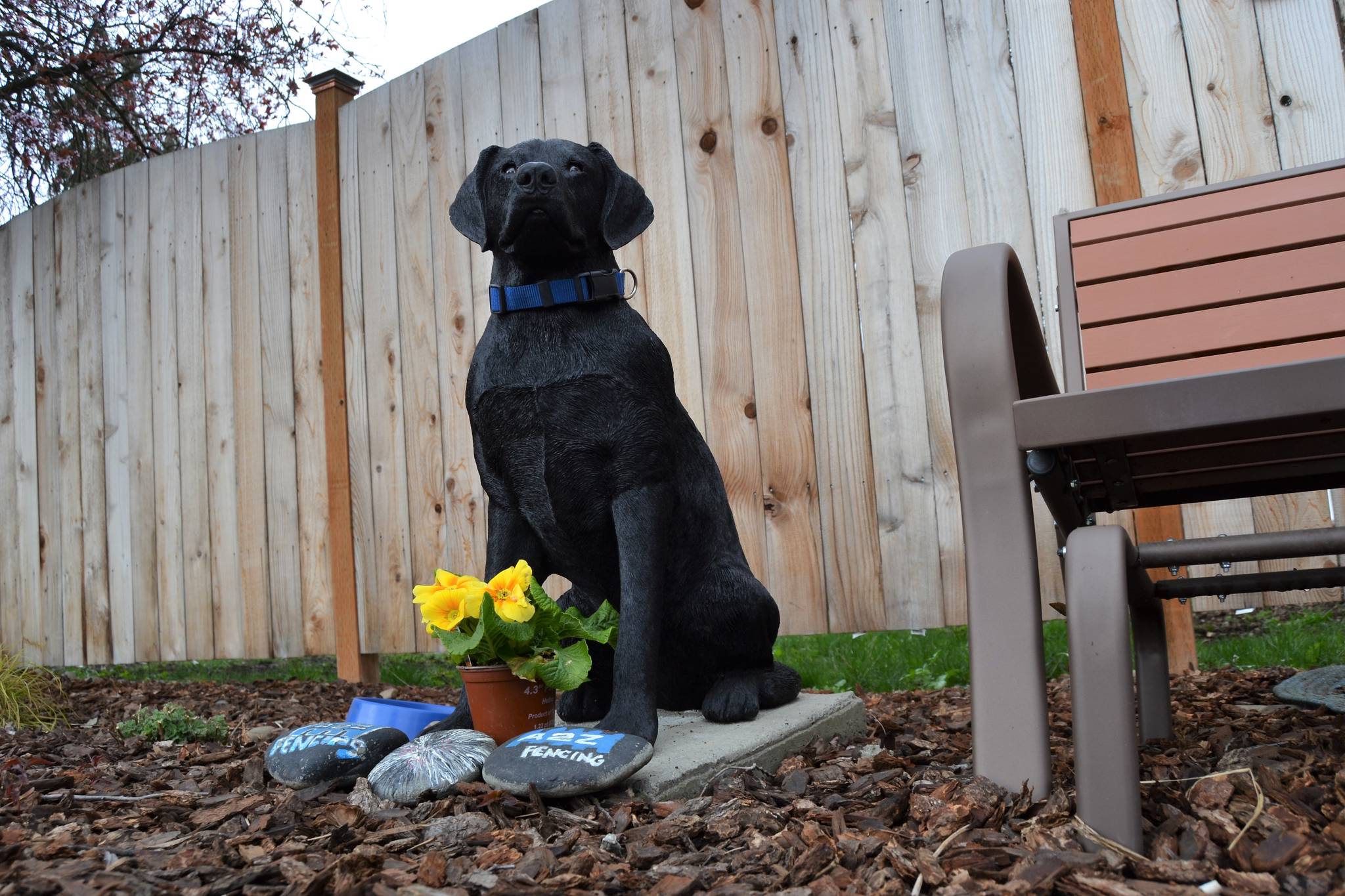 Kevin Cassidy installed a new Stolli the dog statue on March 16 after the previous one was stolen and broken. It memorialized his dog who often sat on the corner of Hendrickson and Priest roads and interacted with locals. (Matthew Nash/Olympic Peninsula New Group)